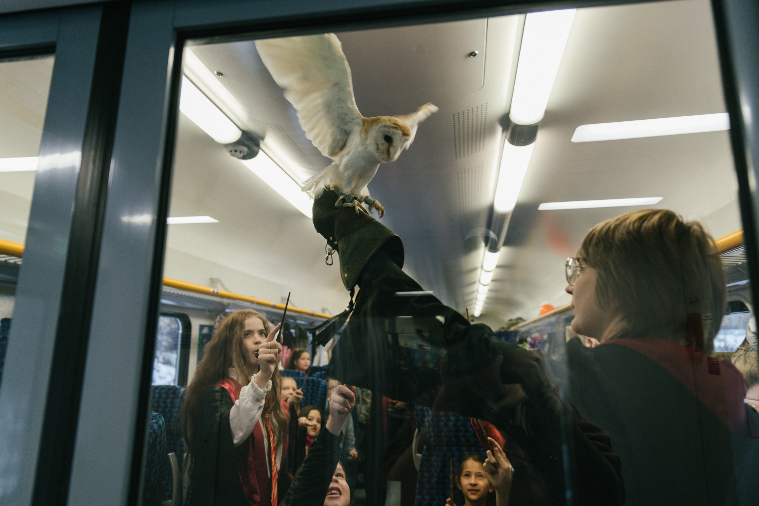 SCRAWL «Магический Экспресс». Женский фотограф в Санкт-Петербурге Степлевич Дарья