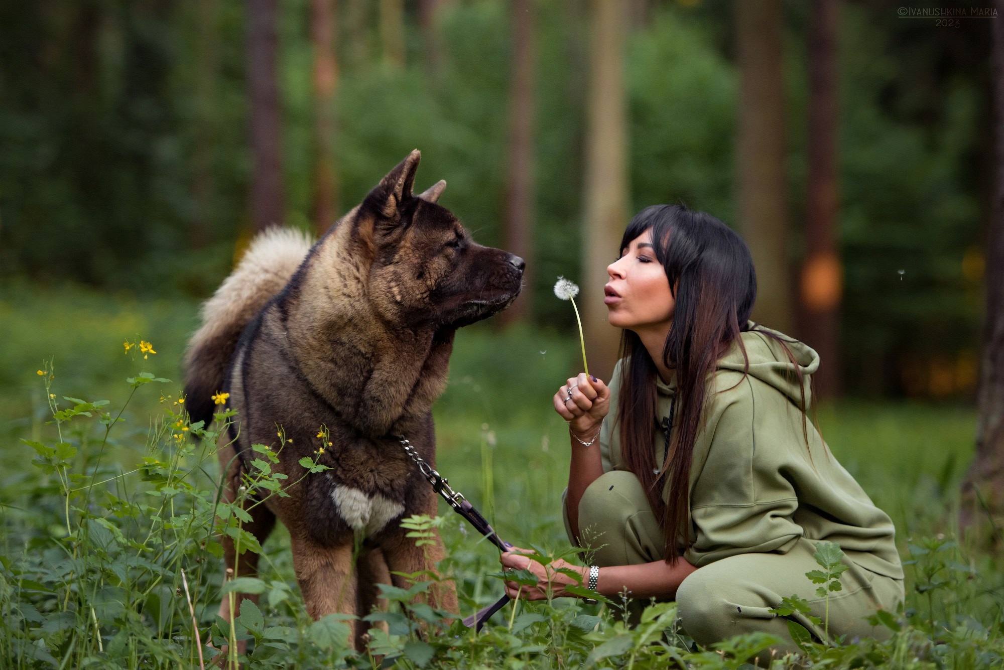 Фотосессия с собакой. Фотограф собак в Москве и Московской области Иванушкина Мария