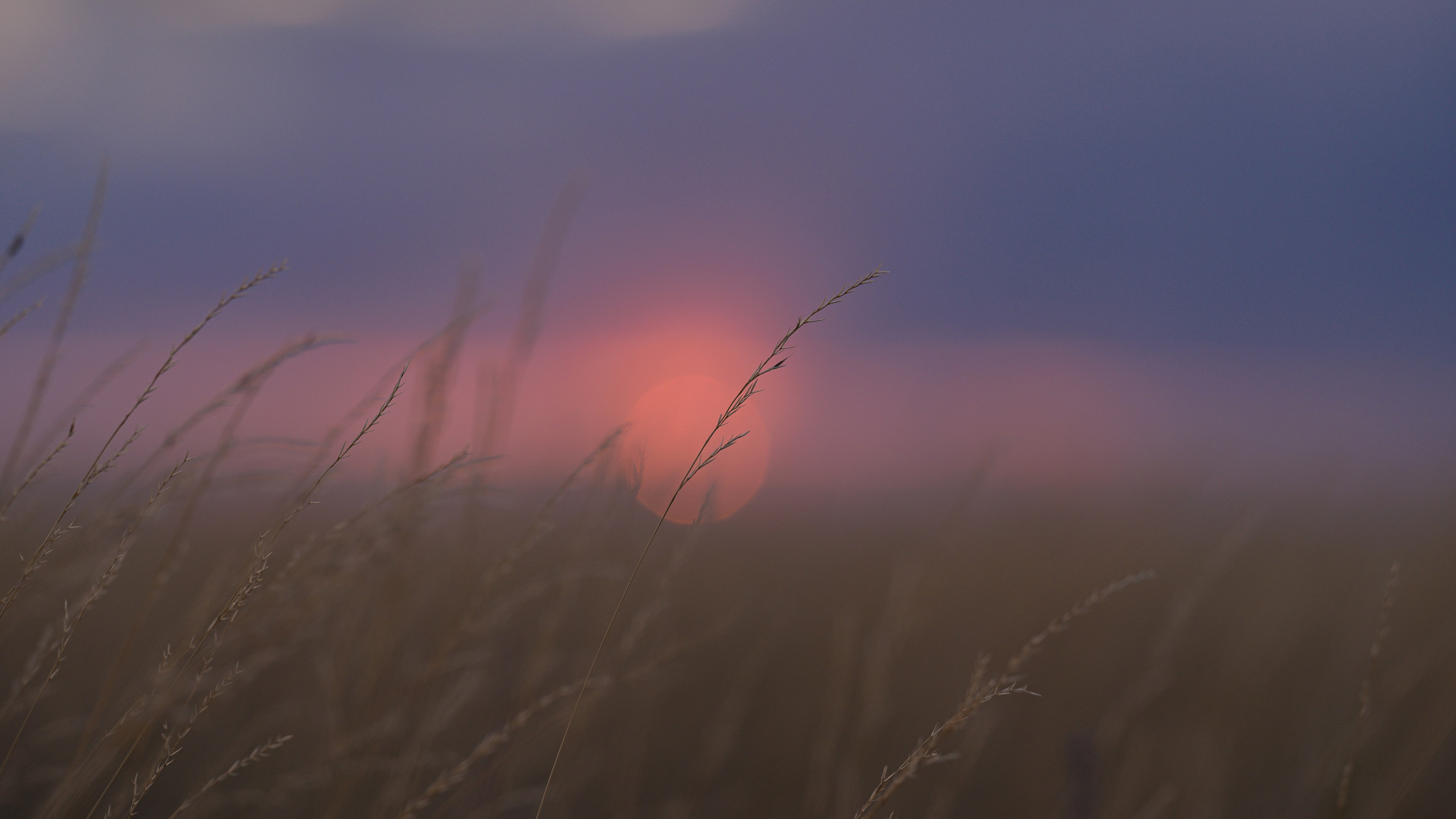 Оренбуржье. Портретный фотограф в Челябинске Катерина Руди