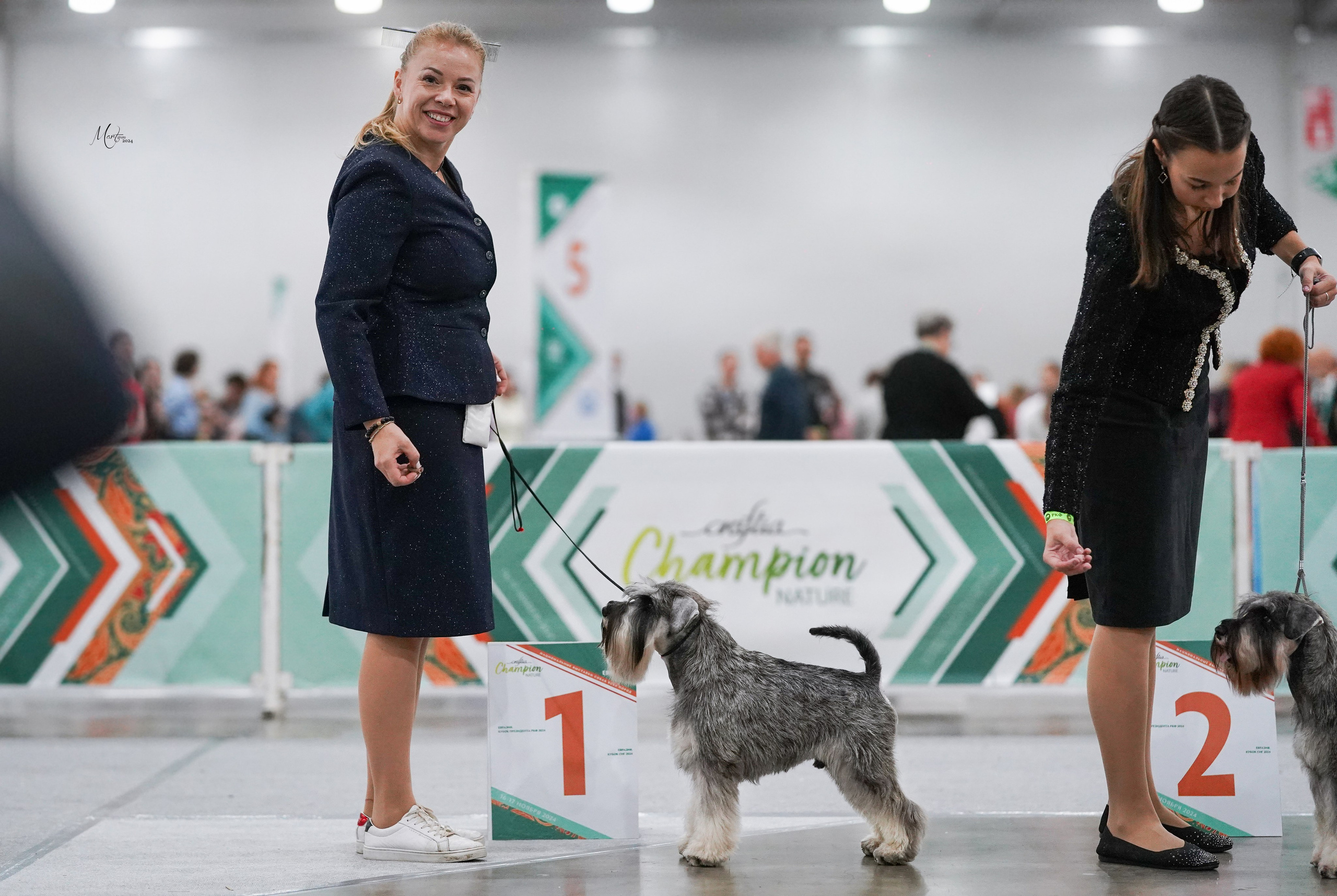 Выставки 2024. Фотограф-анималист в Санкт-Петербурге Яна Мартынова