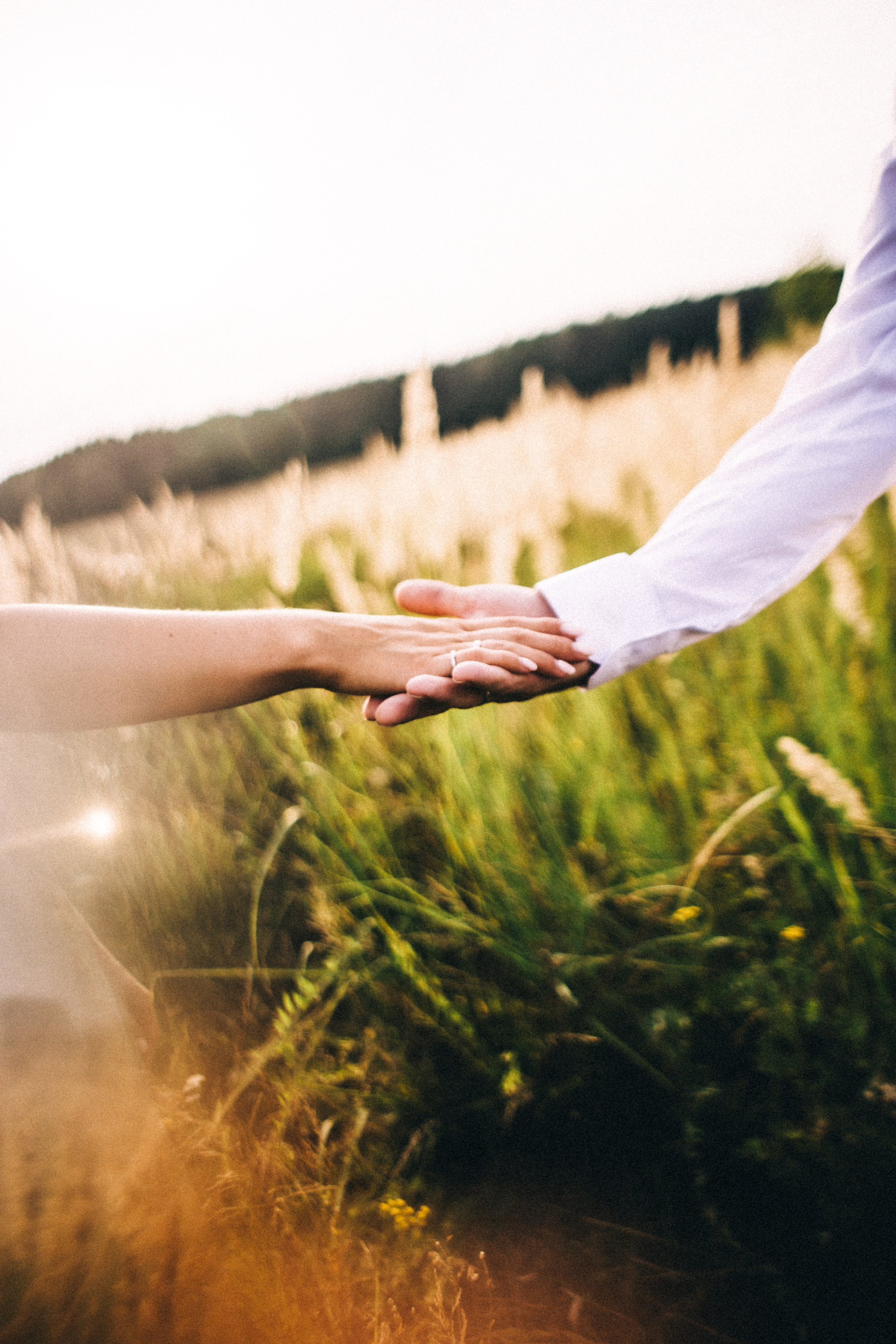 Н+ А. Поле. Закат. Фотограф в Нижнем Новгороде