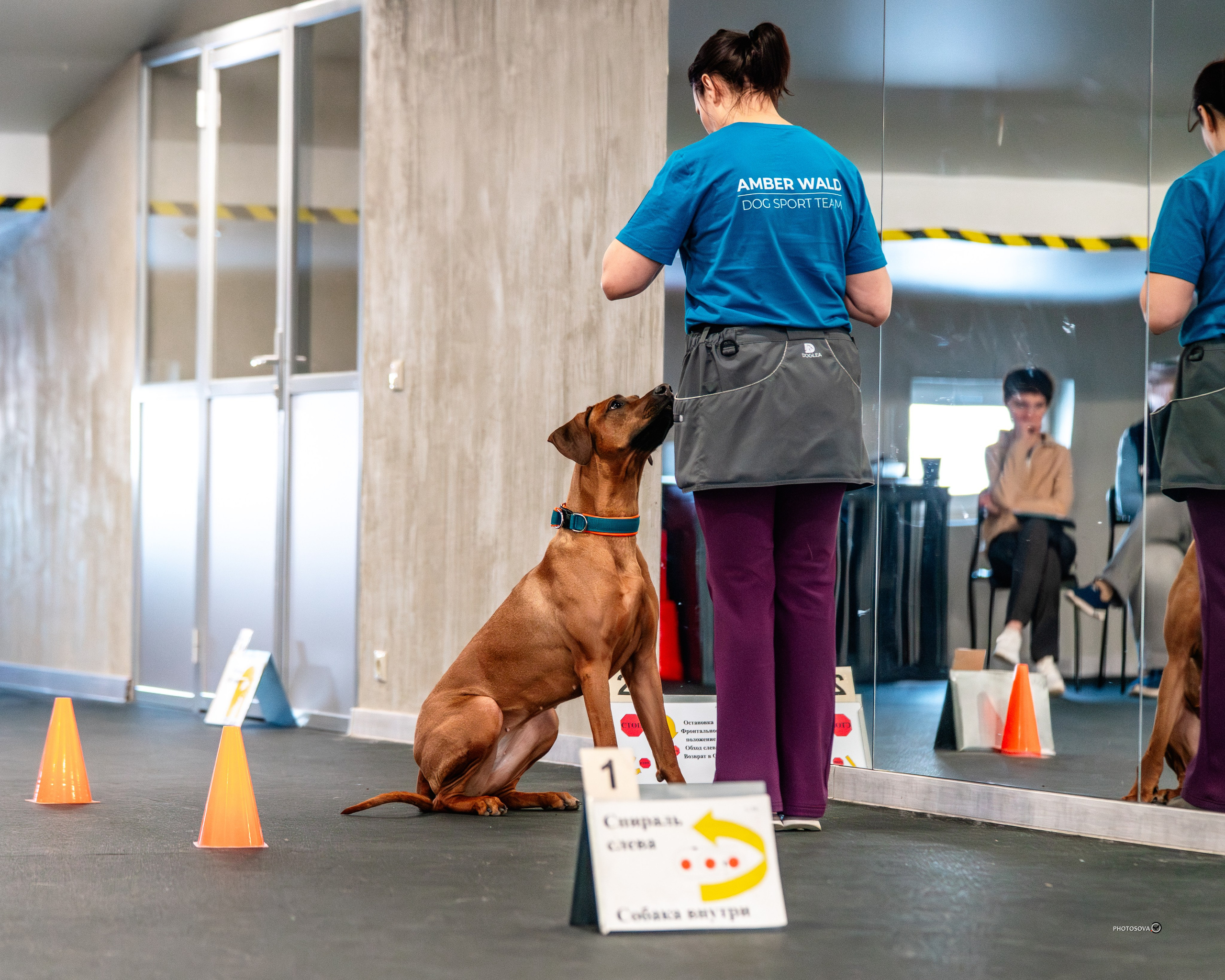 ТЫ И Я (соревнования по ралли-обидиенс). Фотограф-анималист, семейный фотограф в Москве и Подмосковье. Фотосъёмка кинологических дисциплин