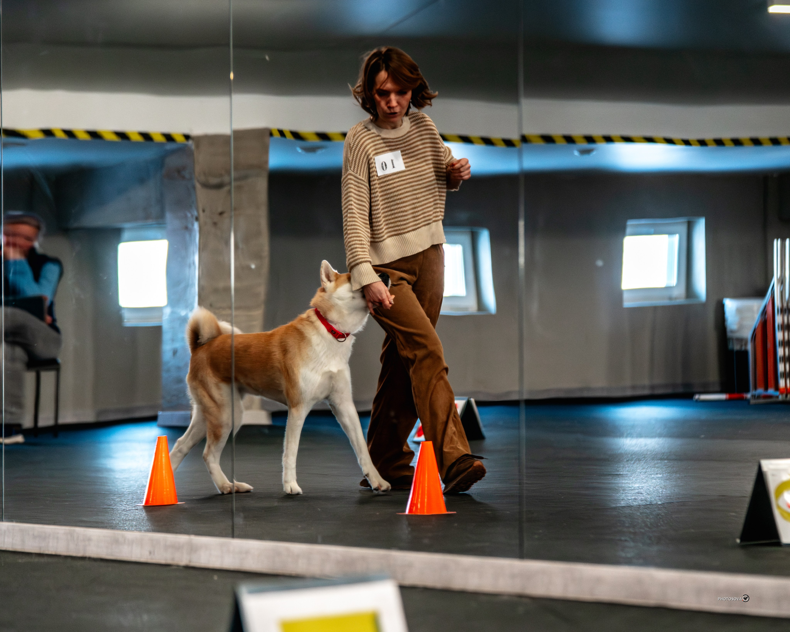 ТЫ И Я (соревнования по ралли-обидиенс). Фотограф-анималист, семейный фотограф в Москве и Подмосковье. Фотосъёмка кинологических дисциплин
