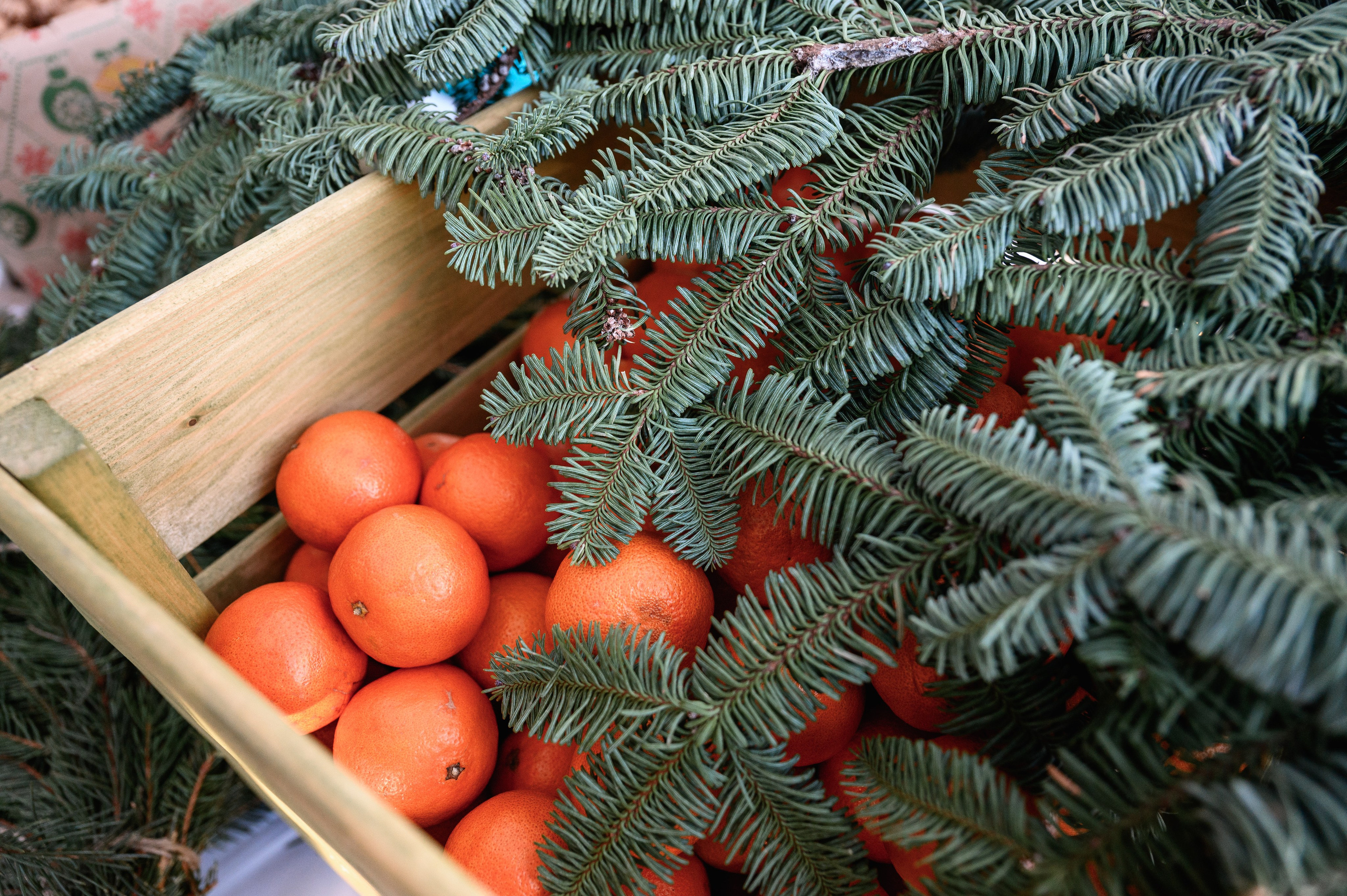 Презентация Cherry Tiggo 9 x Ильдорф. Фотограф Захваткин Роман