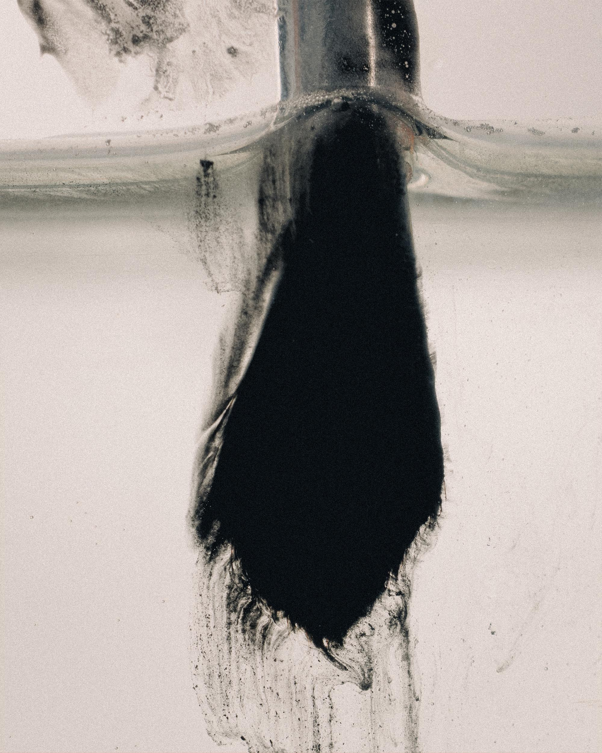 69 — CHA. Ivan Petrov photographer