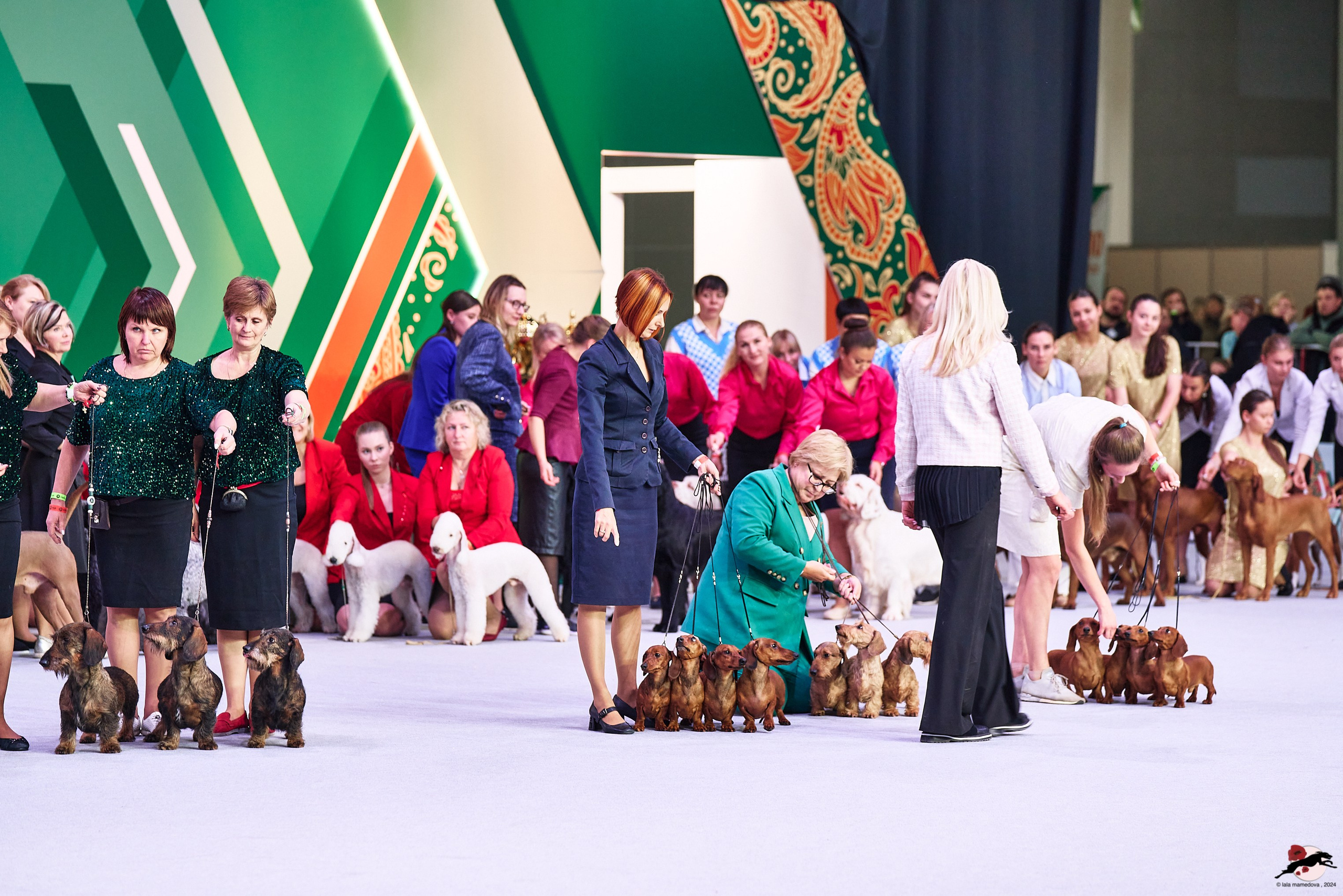 16.11.2024 «ЕВРАЗИЯ. КУБОК ПРЕЗИДЕНТА РКФ 2024»