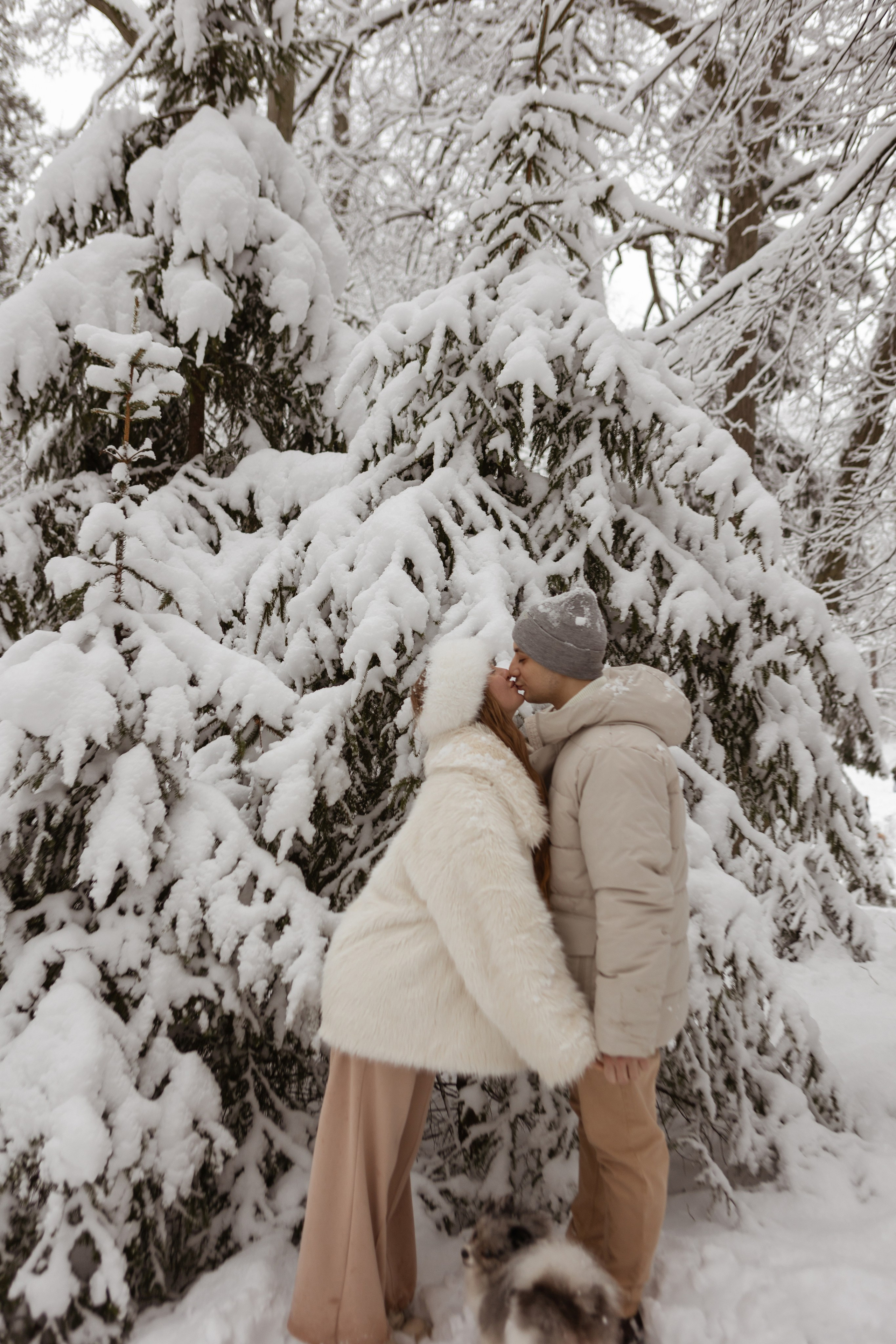 Новогодняя фотосессия с собачками в шуваловском парке. Свадебный фотограф в СПБ | Санкт-Петербурге Анастасия Рахимгулова