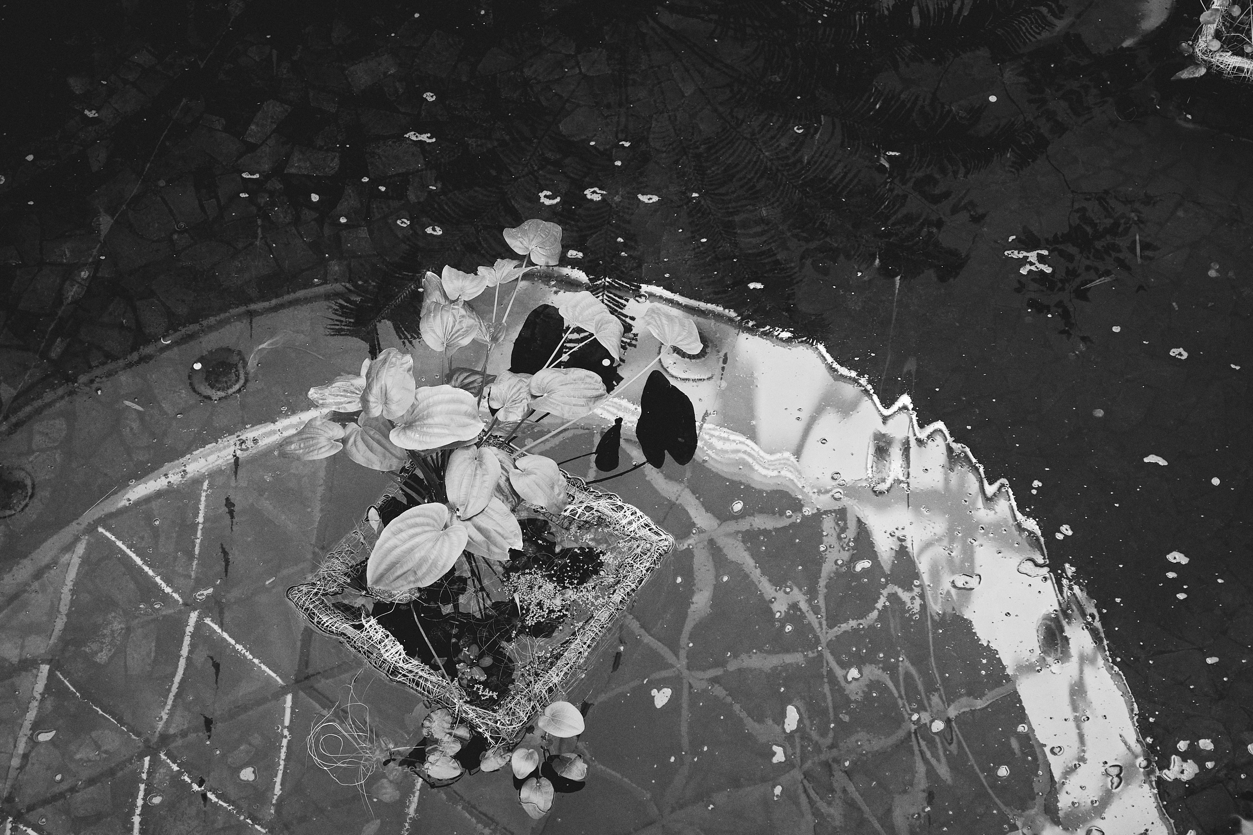 Other. Dmitry Ippolitov