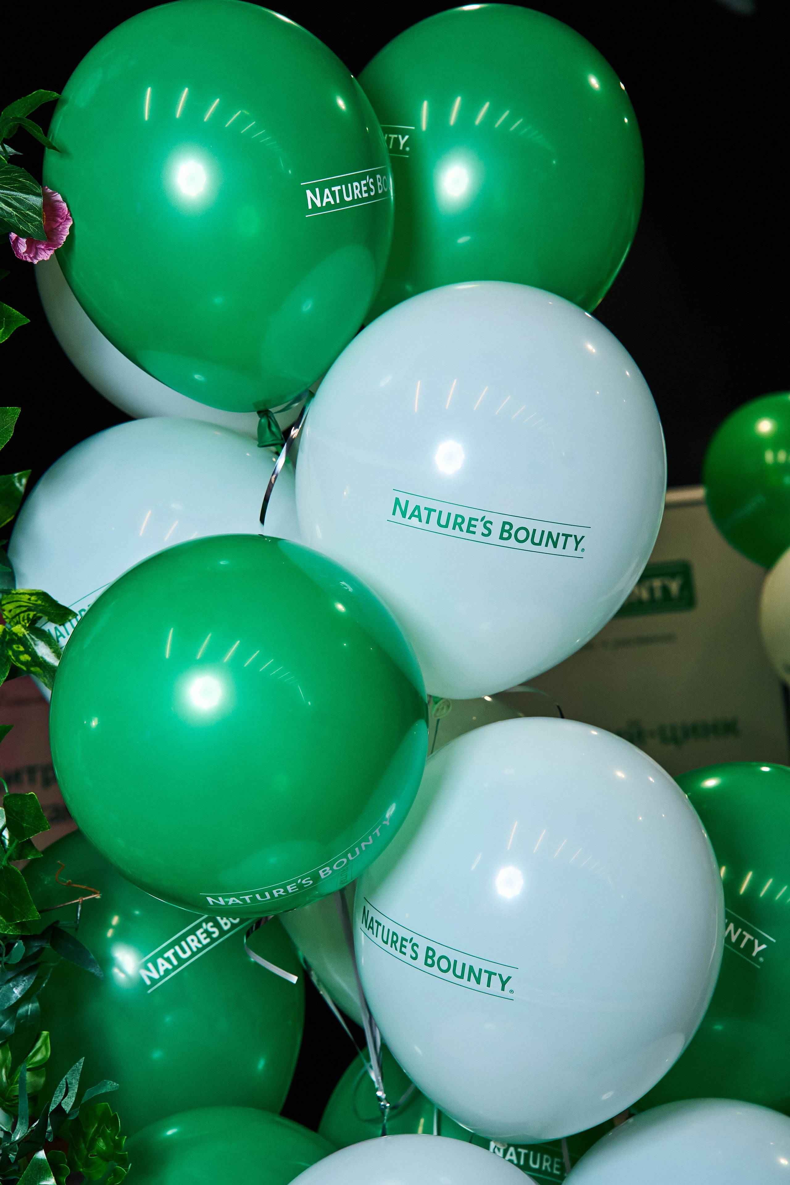 СТЕНДИСТЫ. PRO-AGELESS