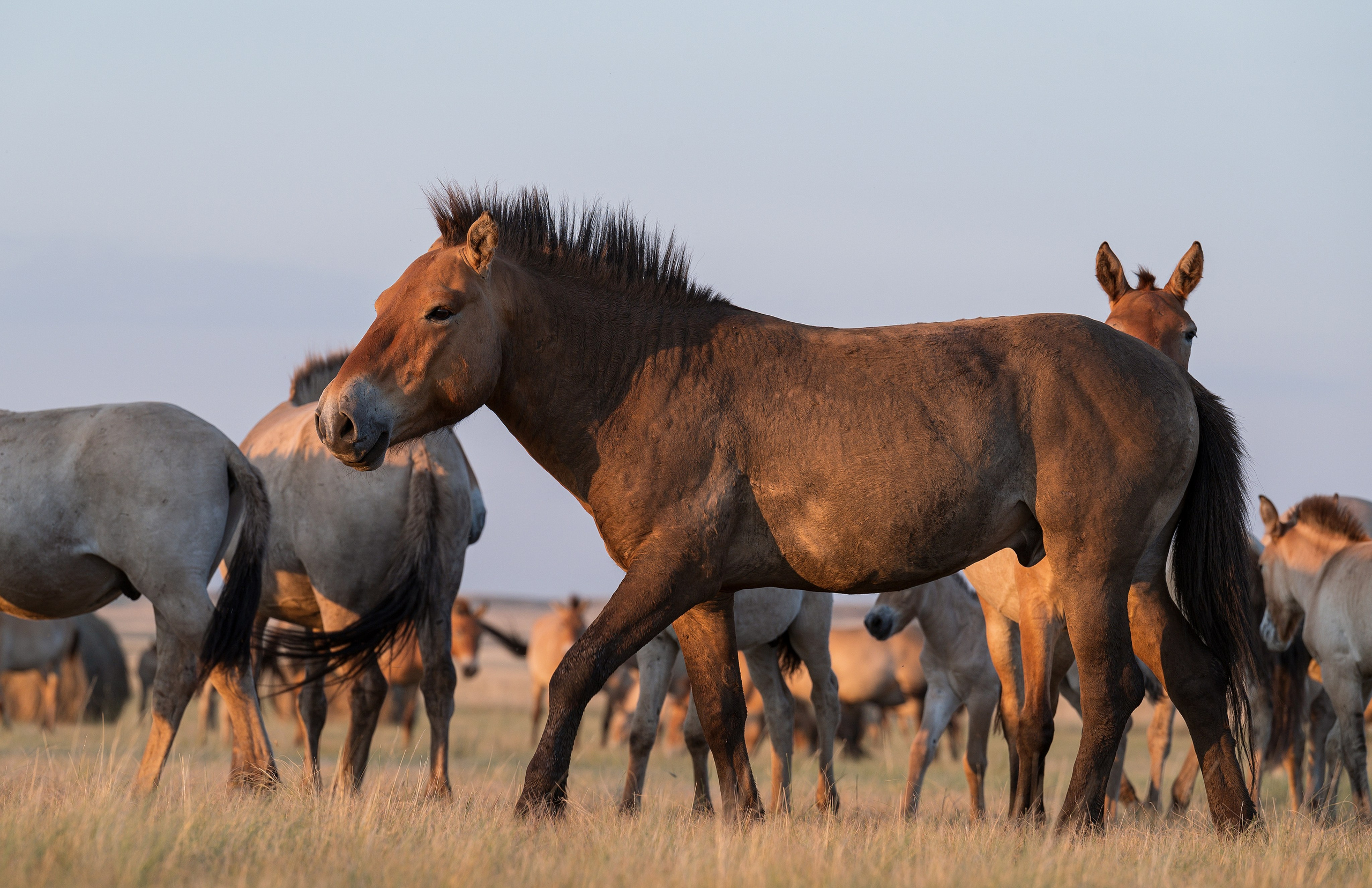 В природе. Портретный фотограф в Челябинске Катерина Руди