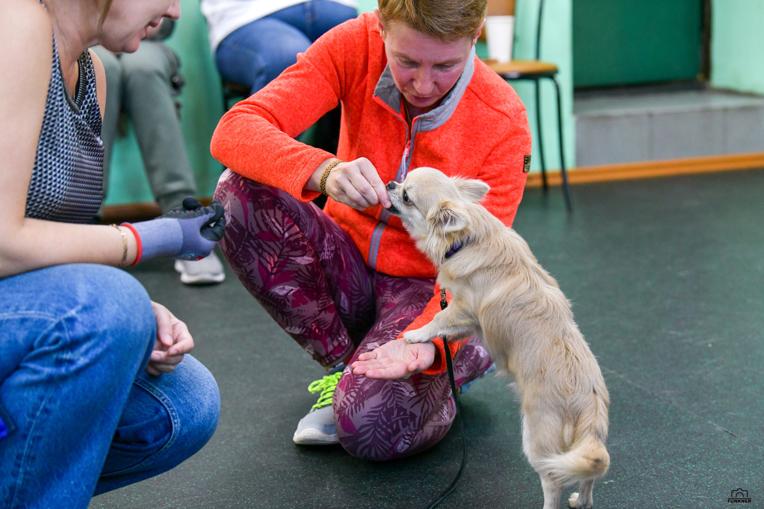Кинологический клуб «Бодрый хвост». Свой взгляд через объектив