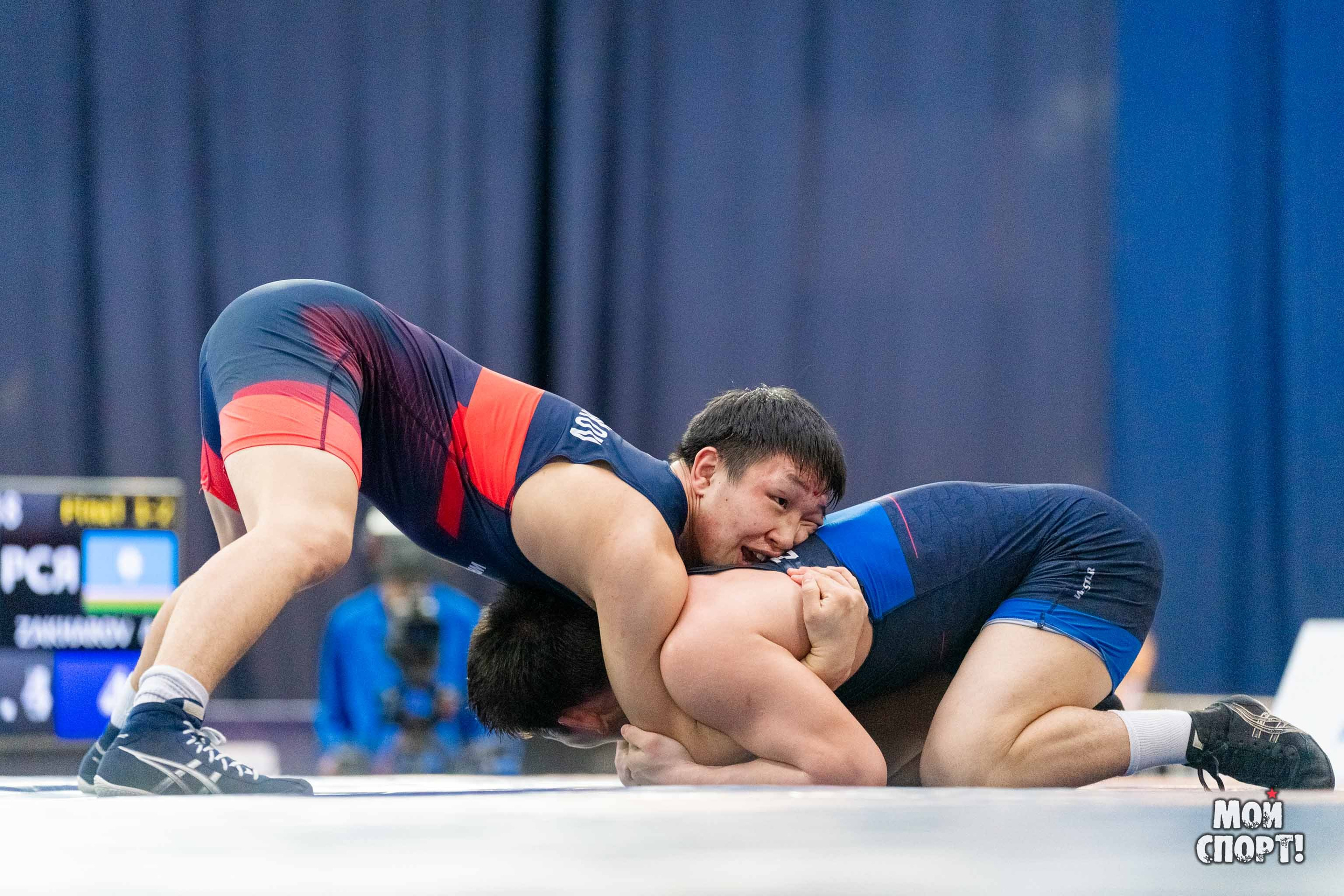 XII Международные соревнования по спортивной борьбе пам. Р. М. Дмитриева. Студия «Мой Спорт!» — все о спорте в Якутии
