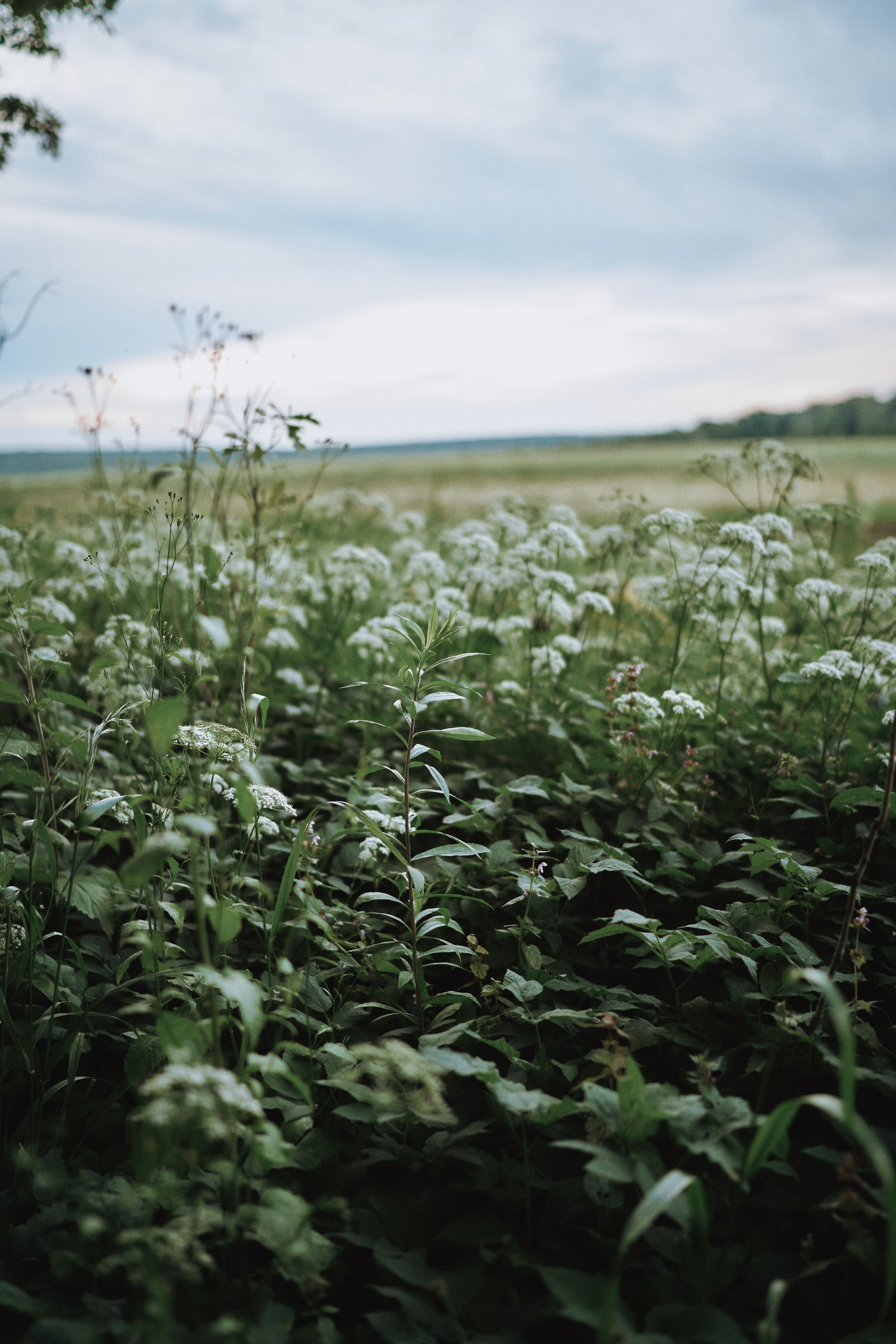 Катя и малыш. Фотограф в Санкт-Петербурге | Аня Маленчук