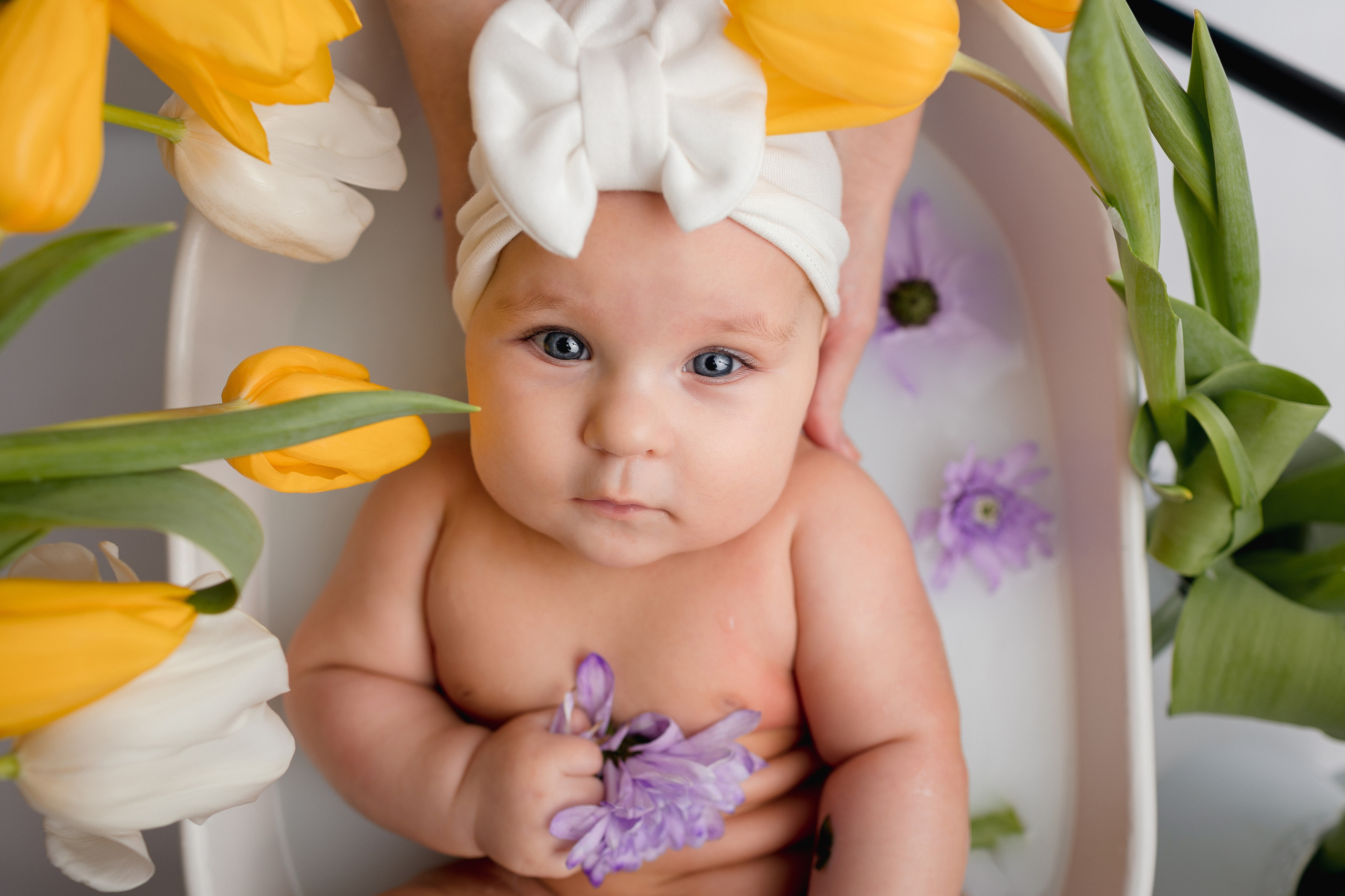 В Тюльпанах (8 марта). Newborn Фотограф в Твери