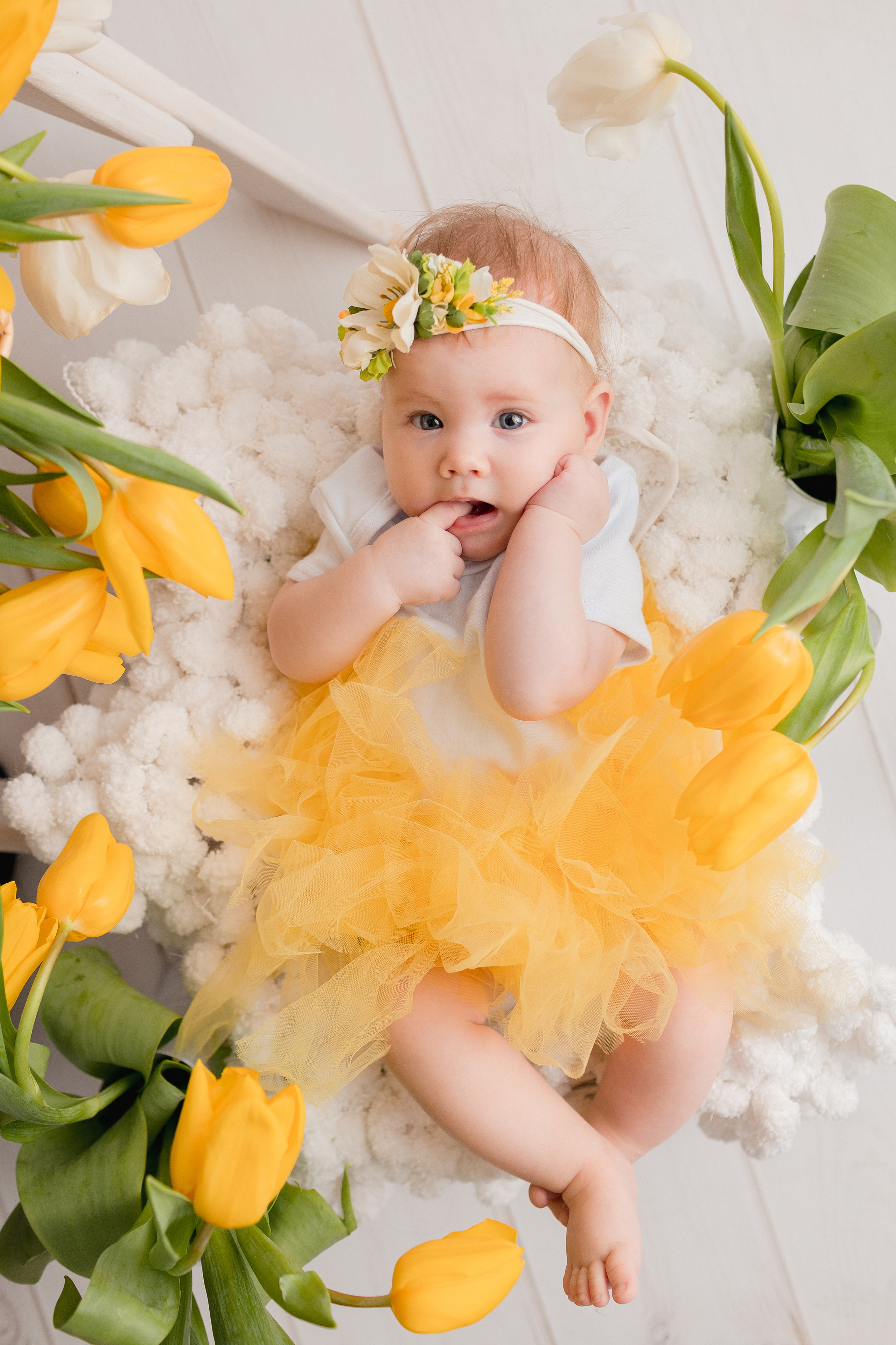 В Тюльпанах (8 марта). Newborn Фотограф в Твери