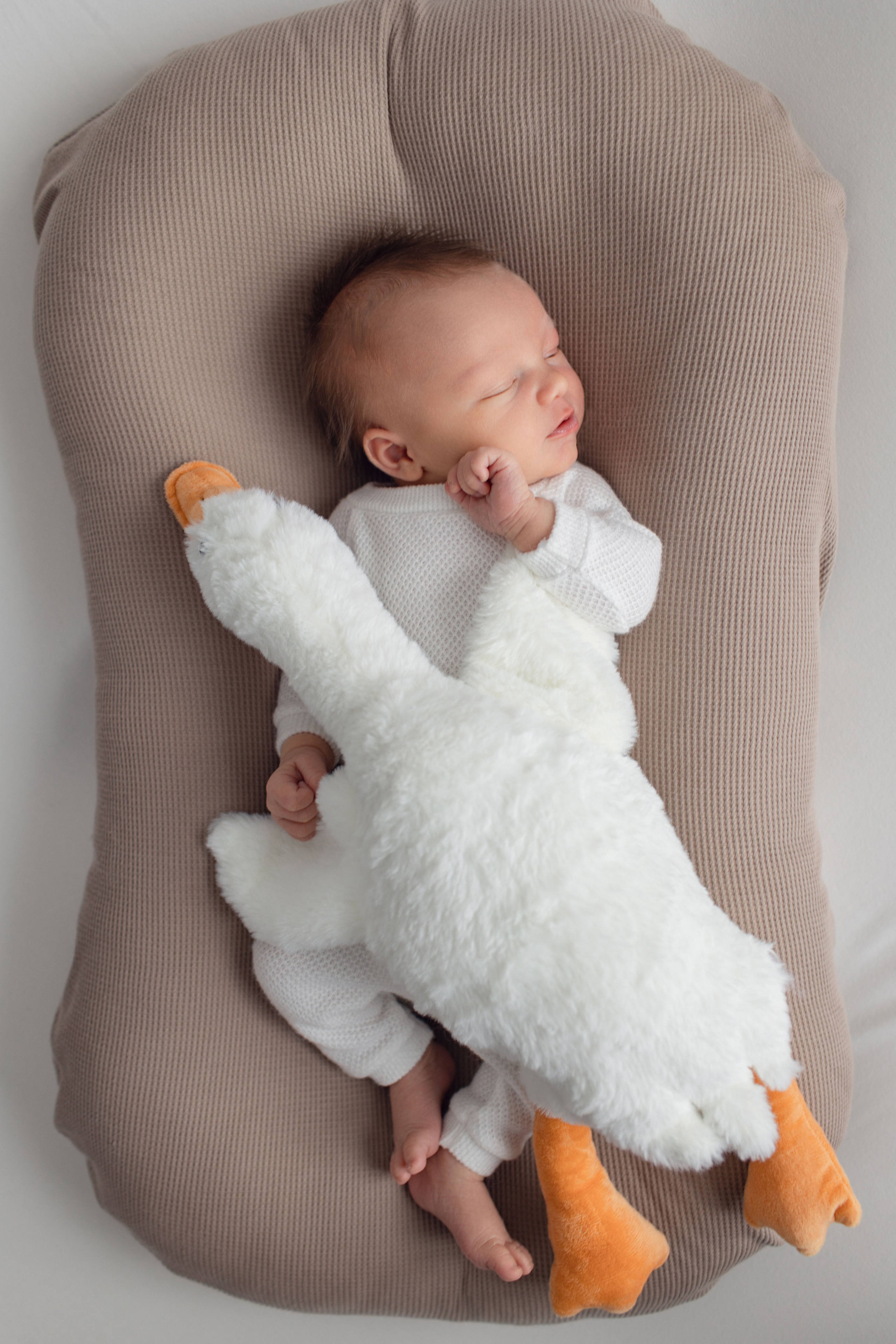 Фотограф новорожденных Тверь. Newborn Фотограф в Твери