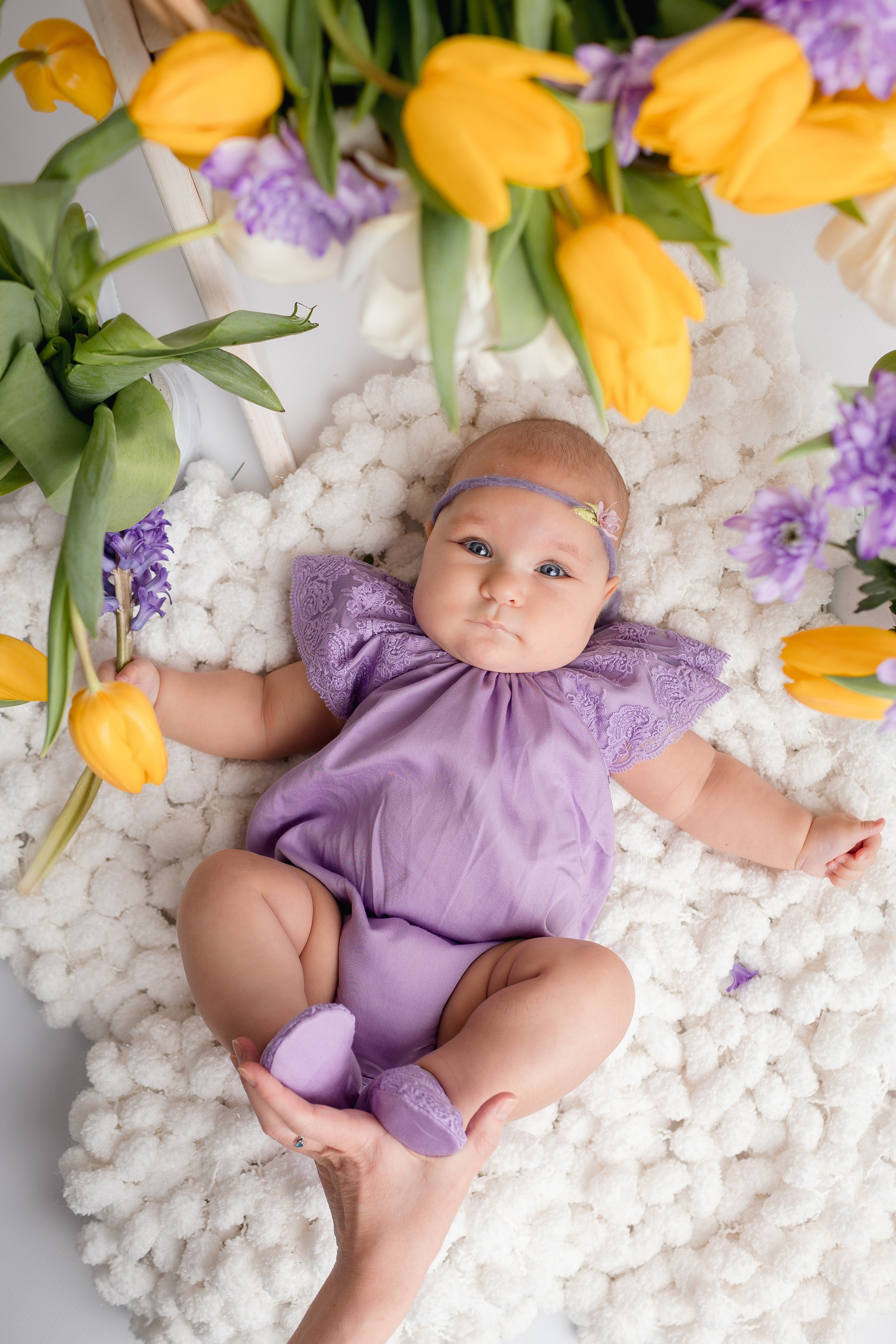 В Тюльпанах (8 марта). Newborn Фотограф в Твери
