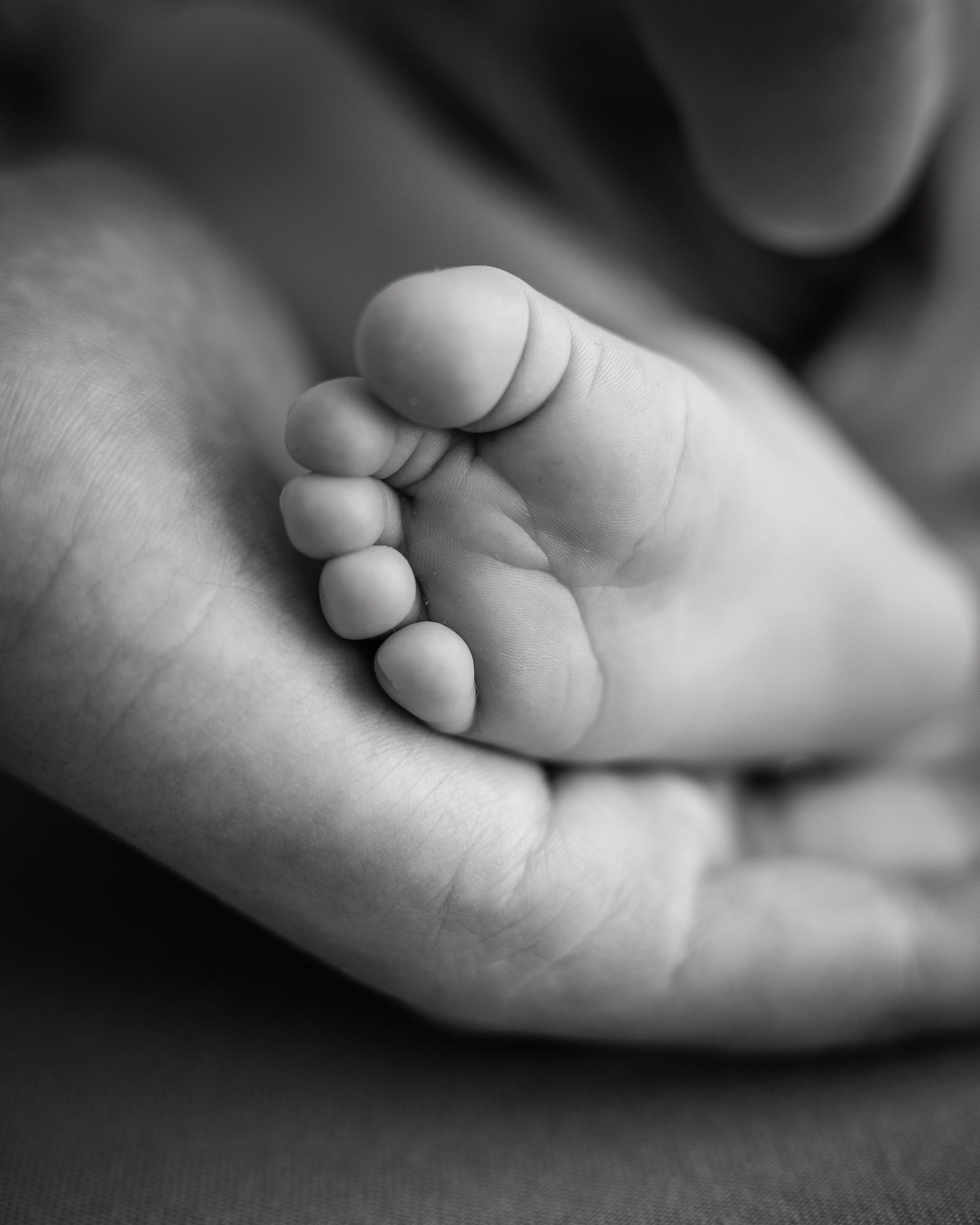 Фотограф новорожденных Тверь. Newborn Фотограф в Твери