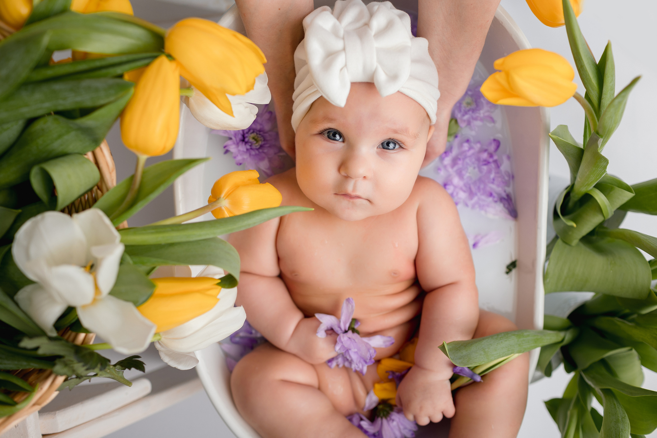 В Тюльпанах (8 марта). Newborn Фотограф в Твери