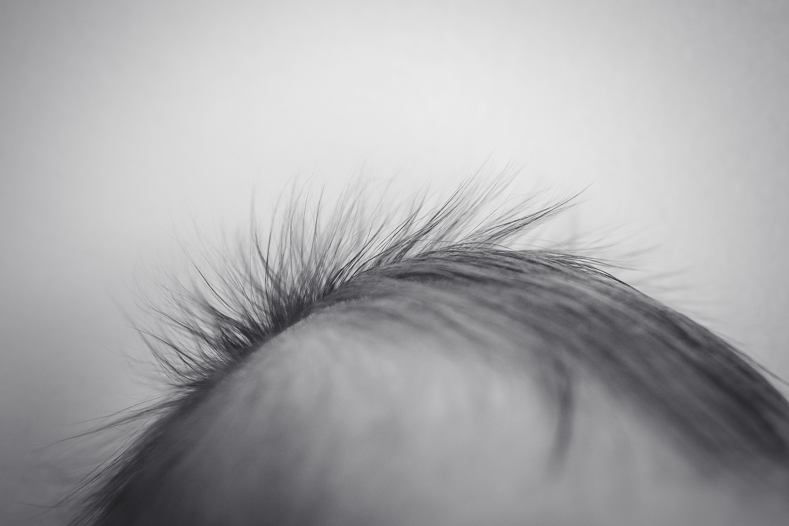 Фотограф новорожденных Тверь. Newborn Фотограф в Твери