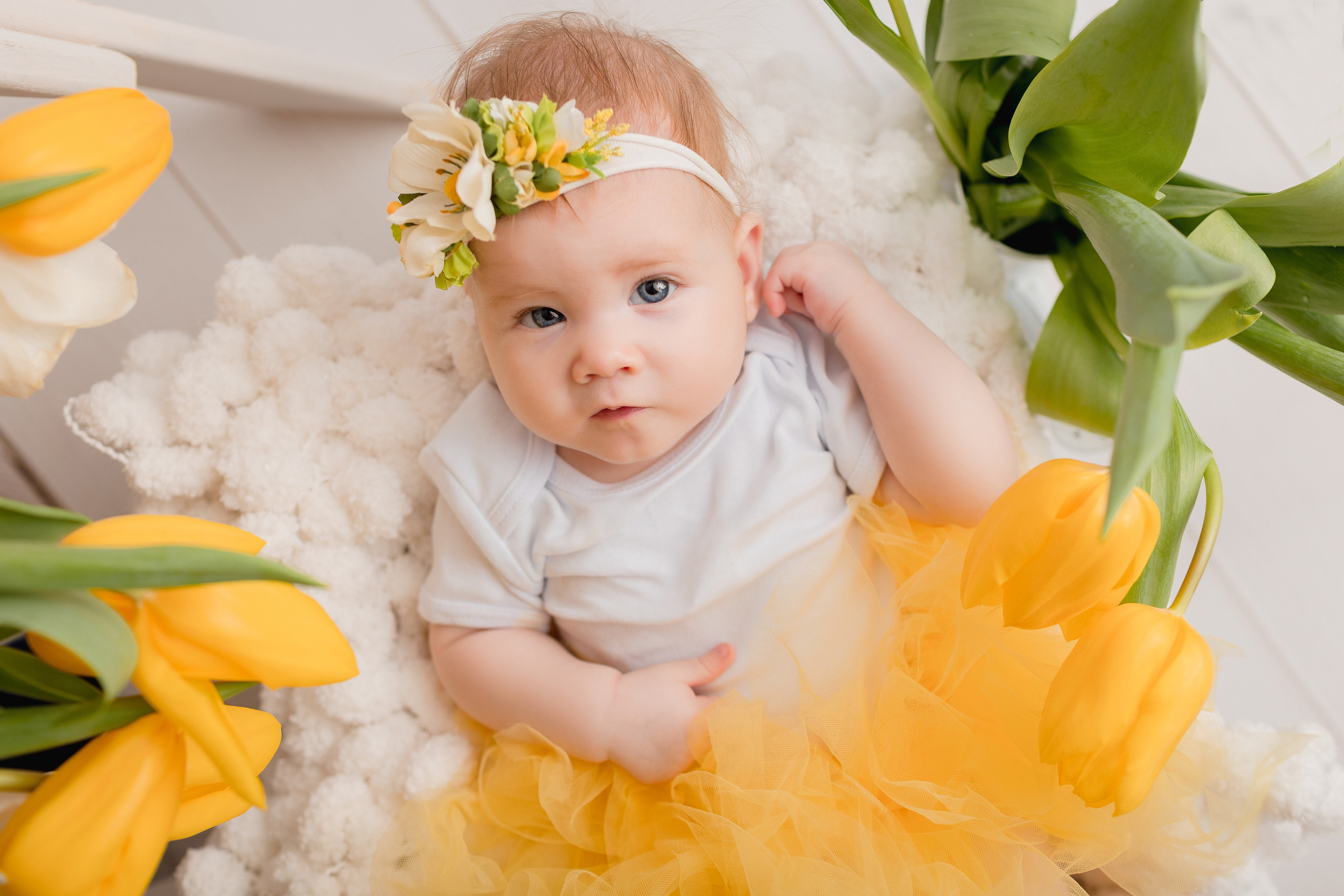 В Тюльпанах (8 марта). Newborn Фотограф в Твери