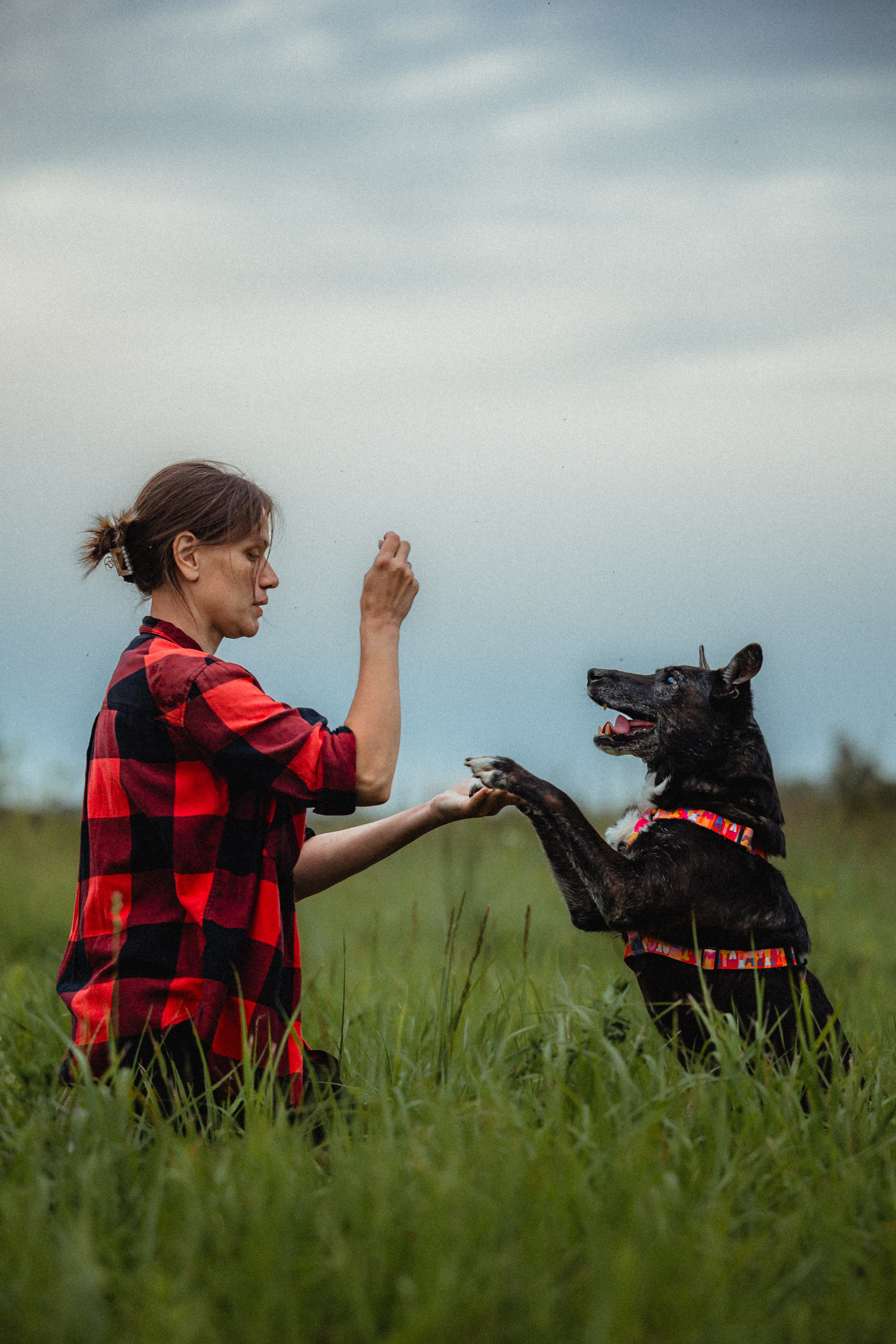Выездной дог-тренинг от школы «Шерсть имею»