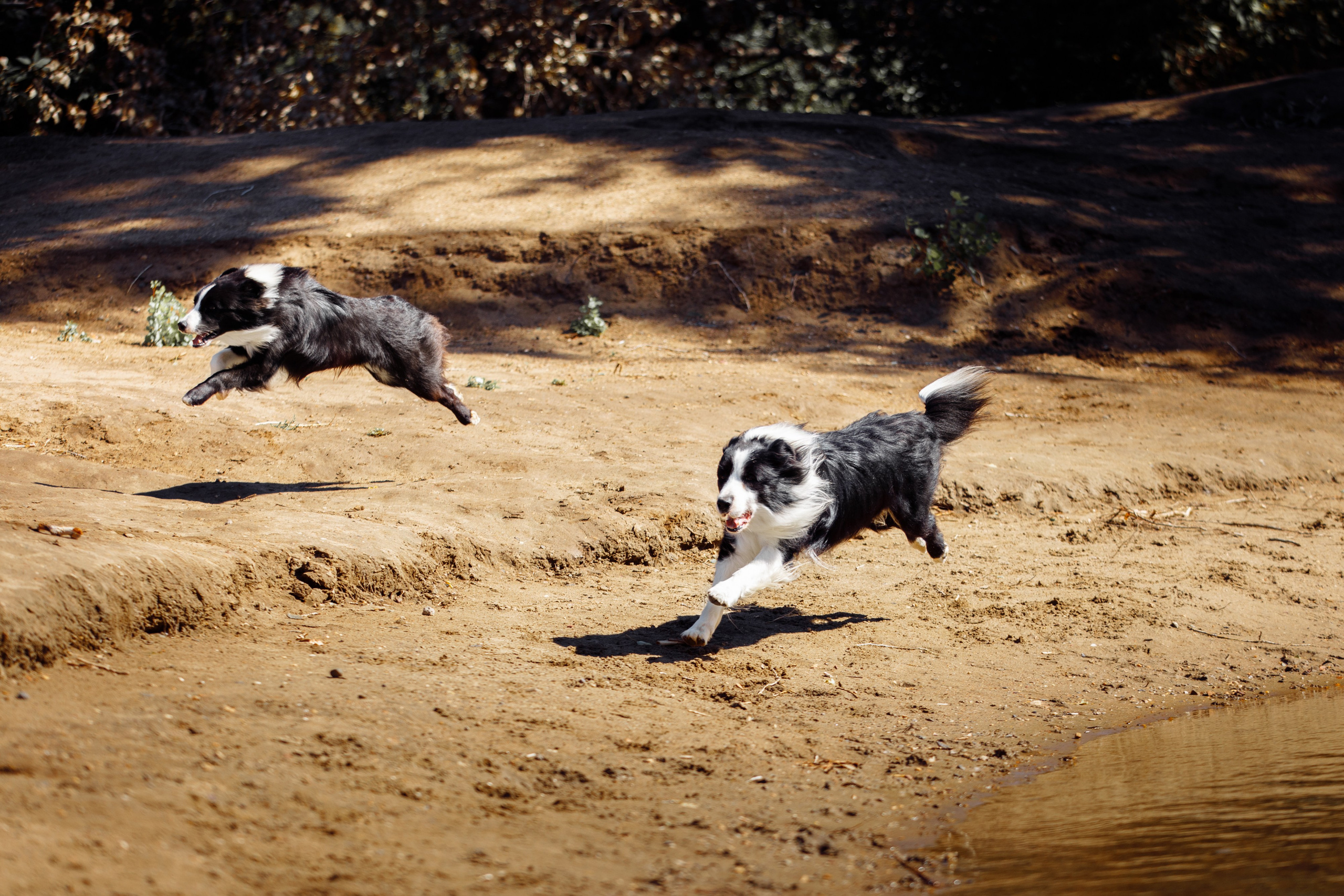 Водяные в Новотроицке. О нас