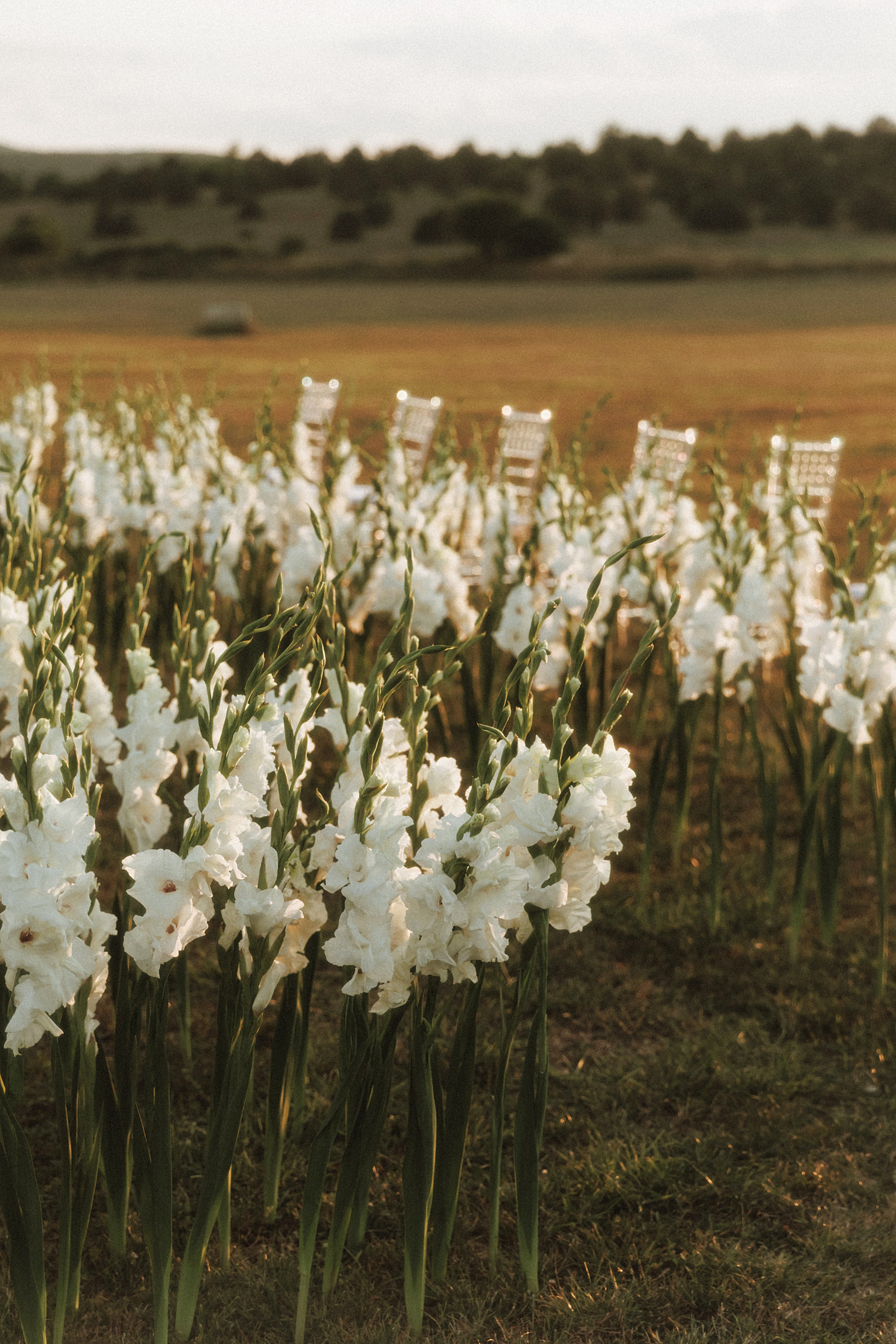 Vlad & Yulia. Свадебный фотограф в Севастополе и Крыму| Tanya Sher