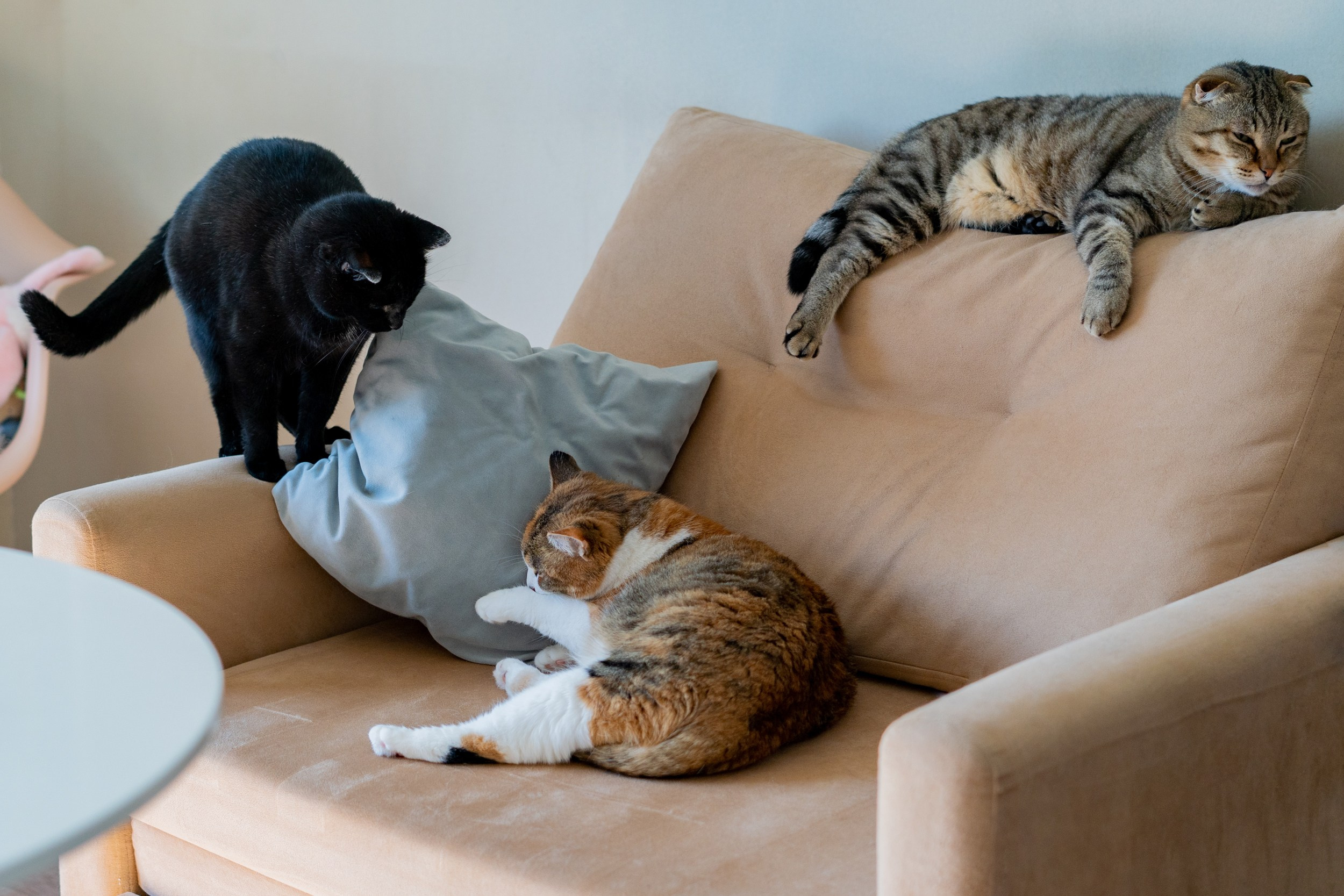 Гостиница. Фотограф Екатерина Зорина