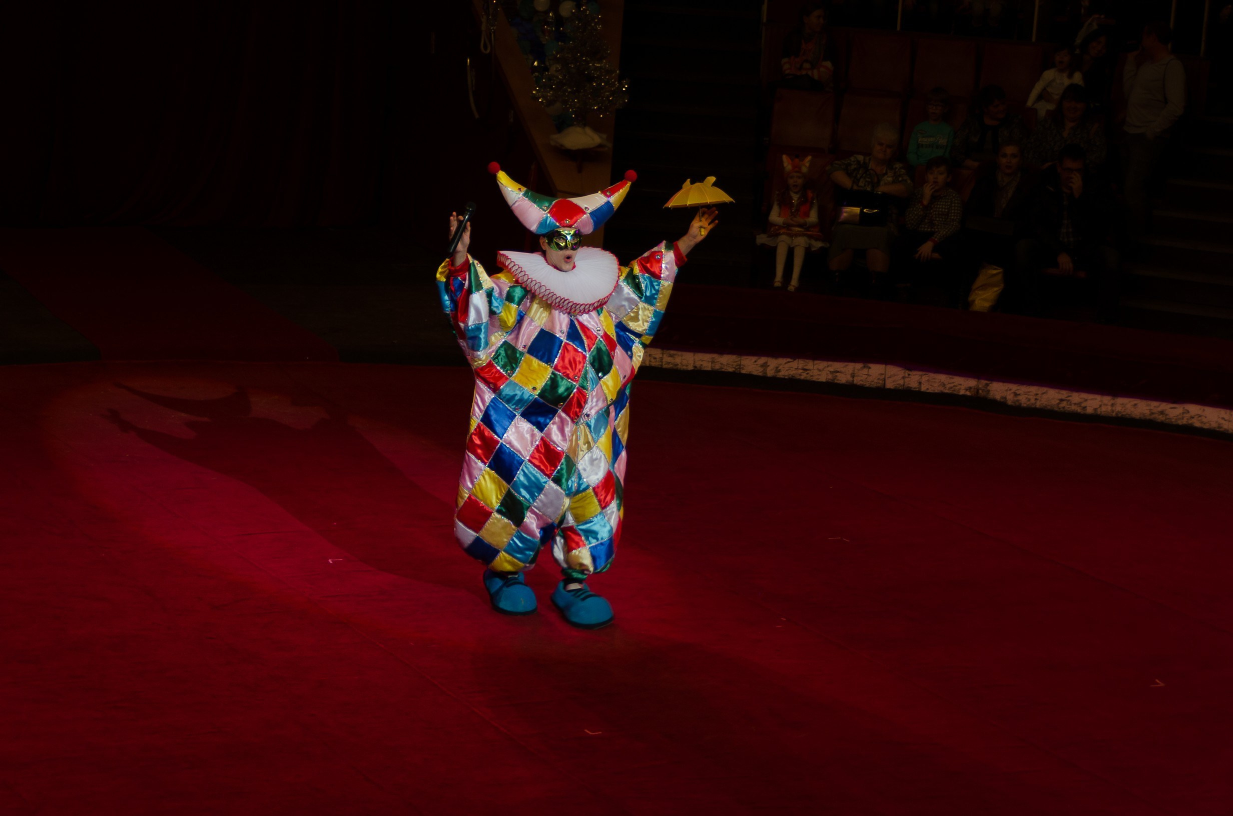 Цирк. Фотограф в РФ и ЛНР Юлия Федосеева