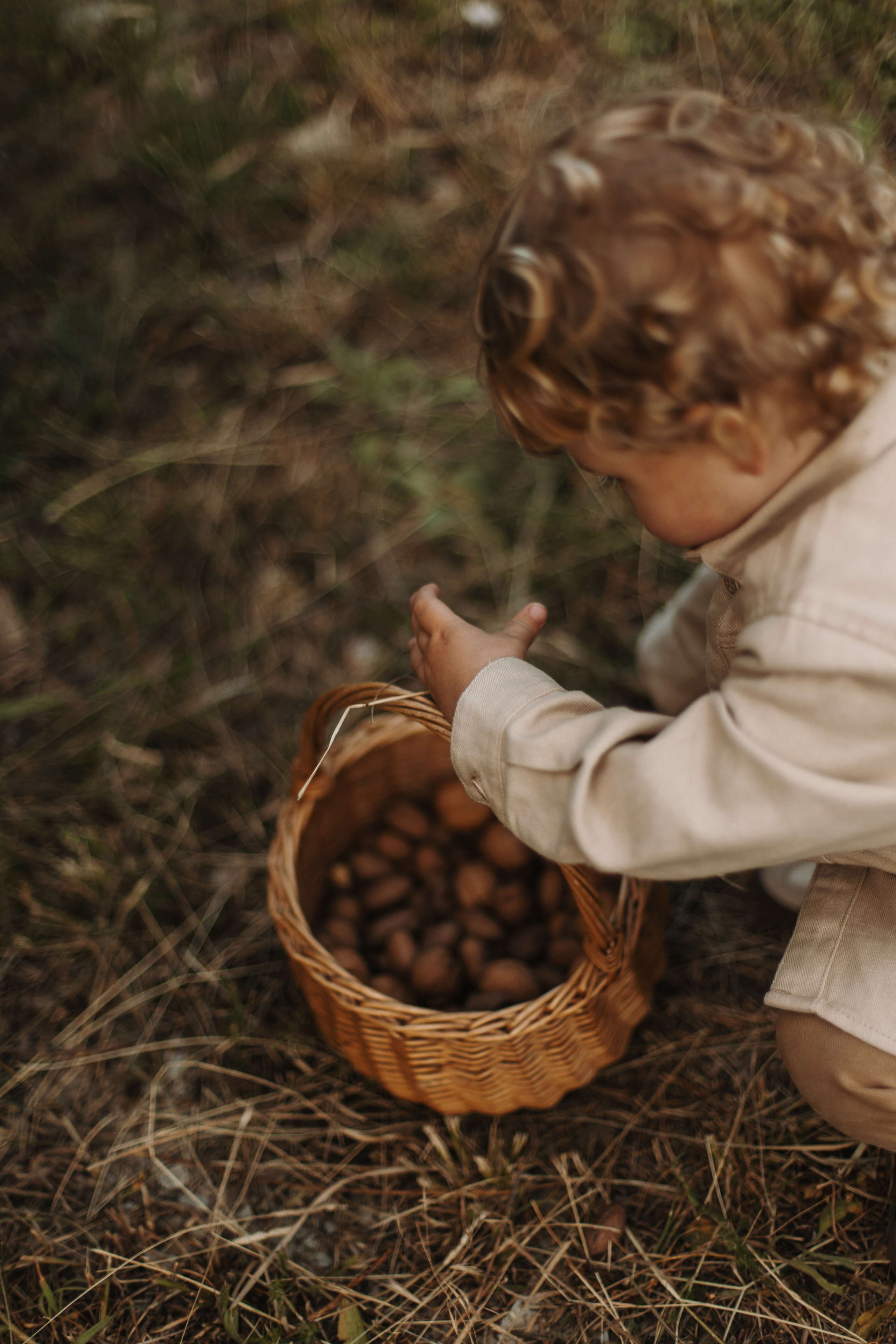Summer Picnic. Фотограф на Юге России
