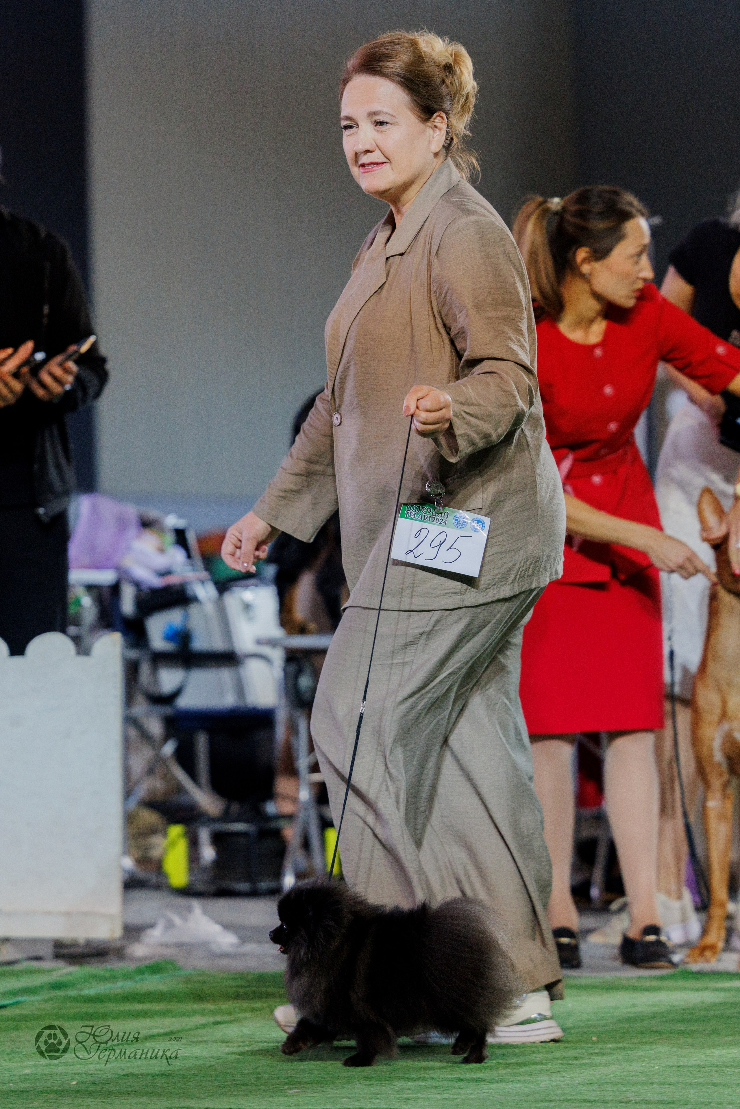 Грузия,Телави 2хCACIB 19-20.10.2024. Фотограф-анималист Юлия Германика