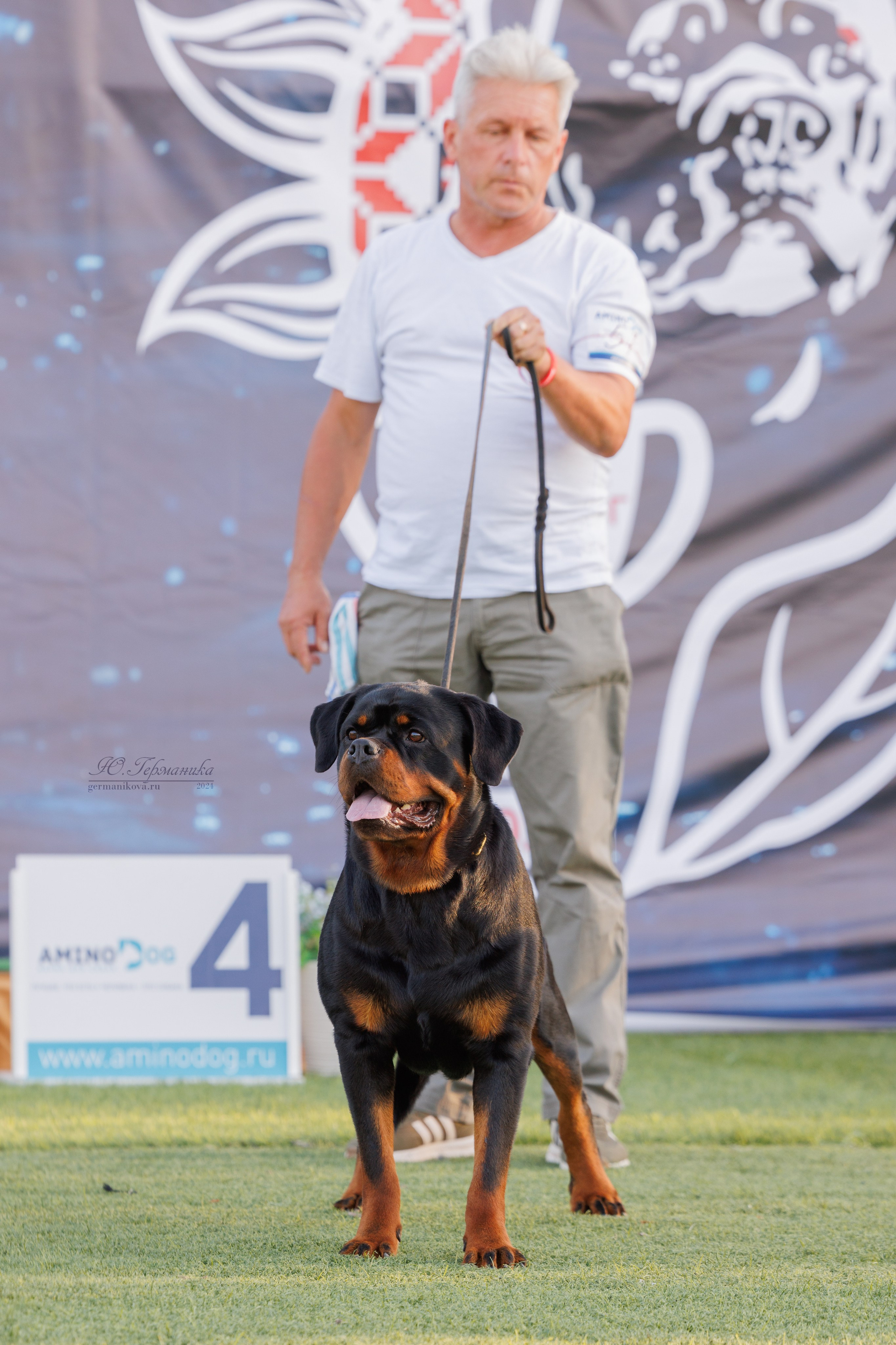Анапа ротвейлеры 14-15.09.2024. Фотограф-анималист Юлия Германика