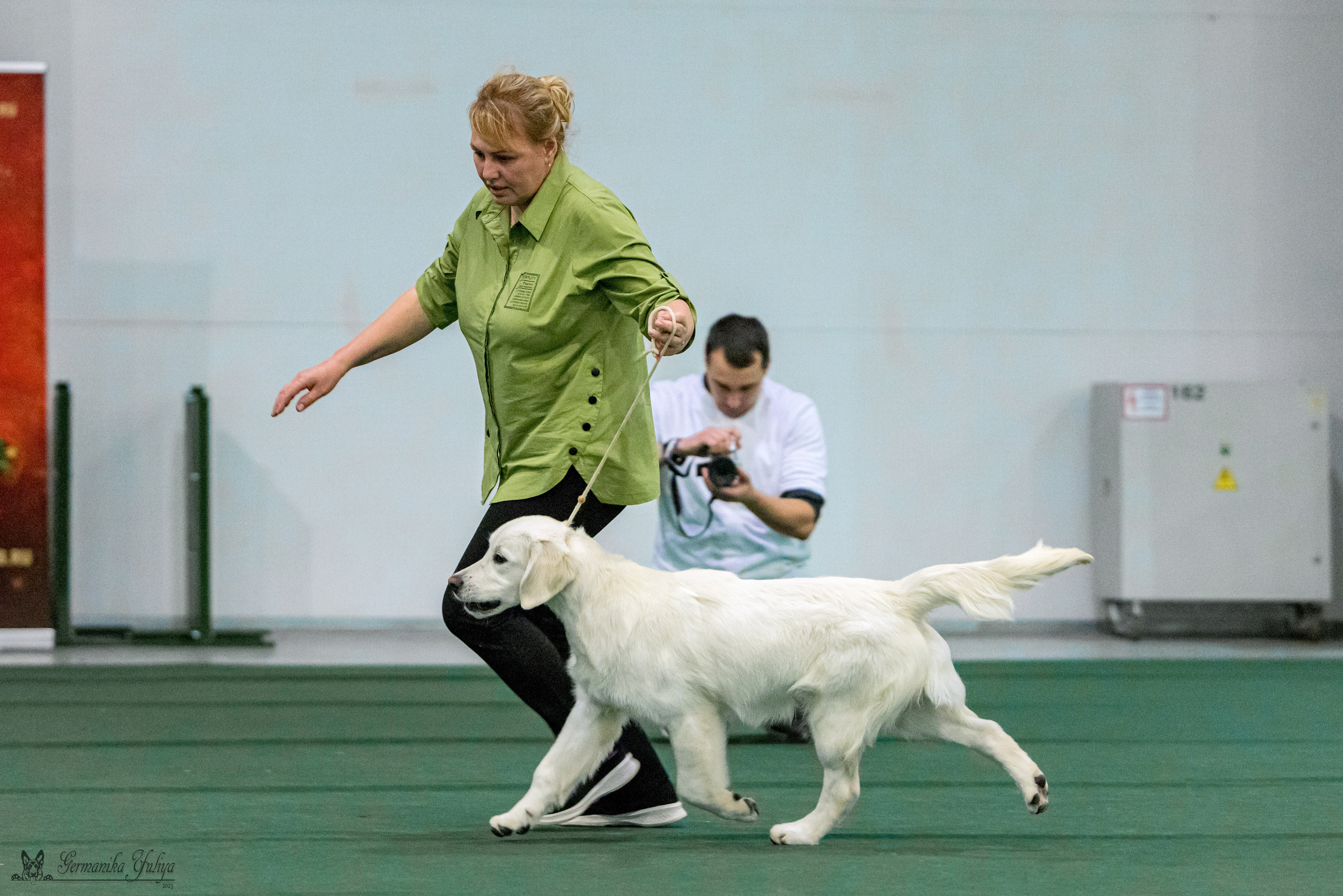 Сфера 29.10,Крокус 4.11,Сфера 12.11.2023. Фотограф-анималист Юлия Германика