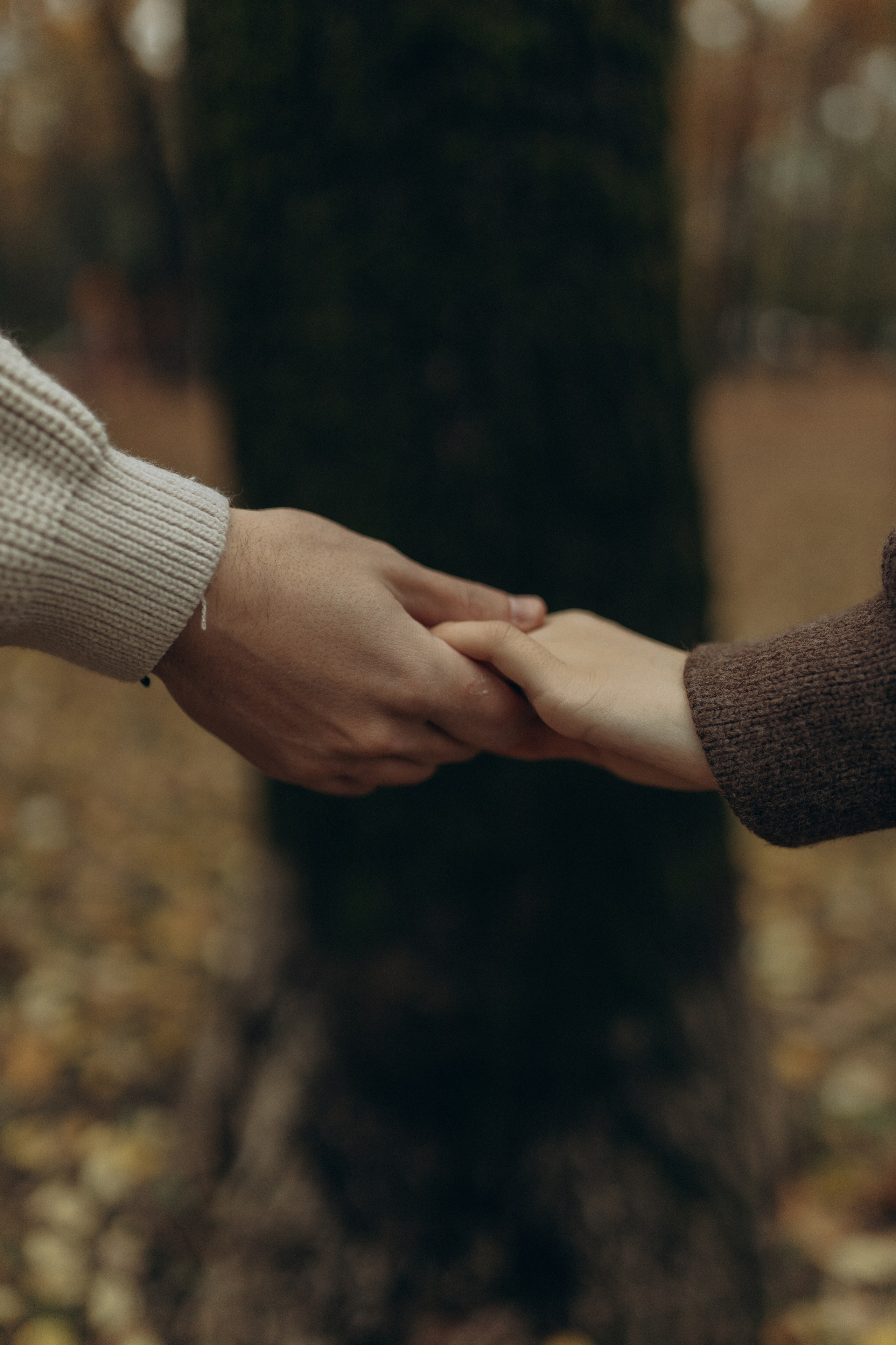 О любви. Ekaterina Chebotkova семейный фотограф