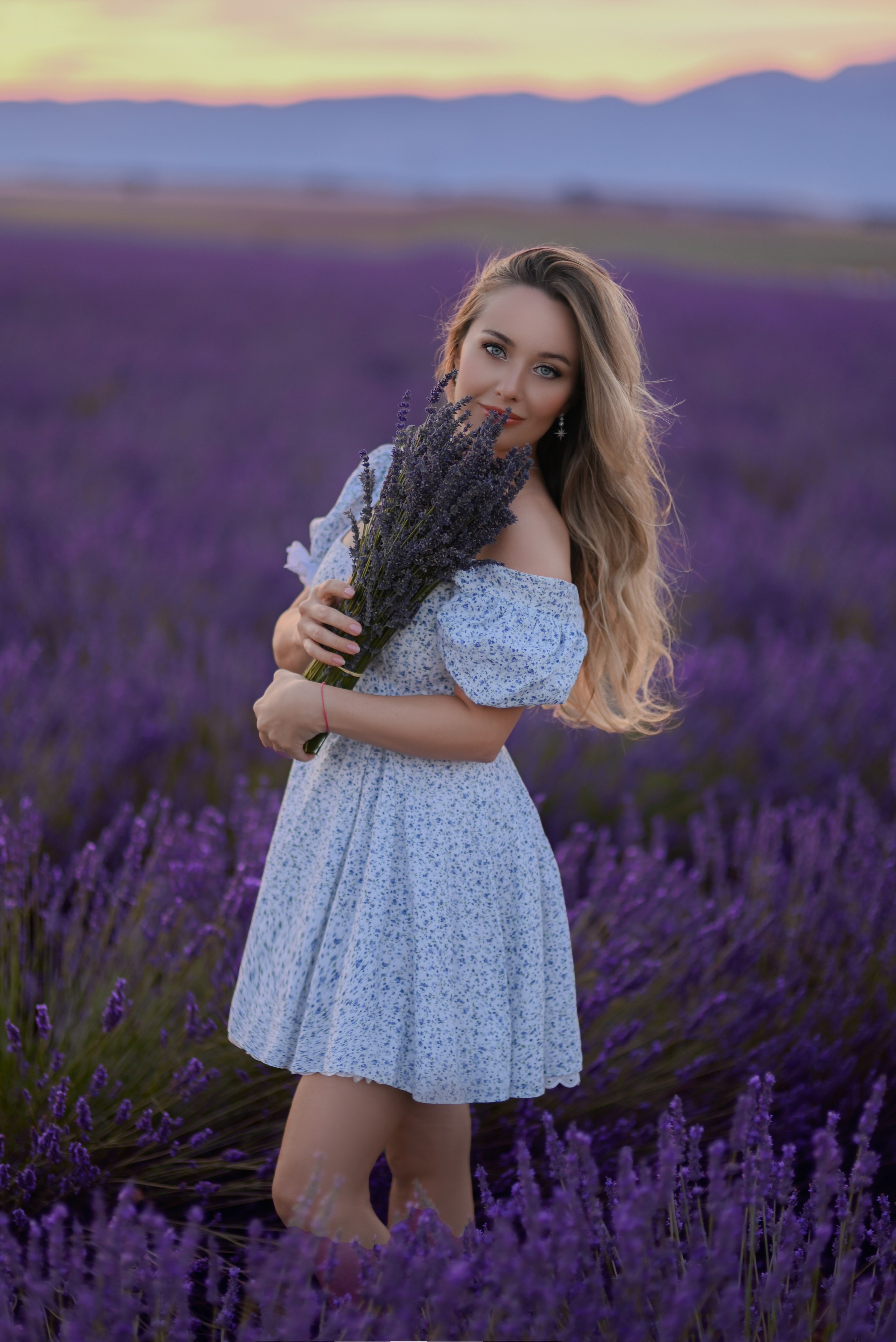 Lavender. Photographer in Provence Julia Lipiainen