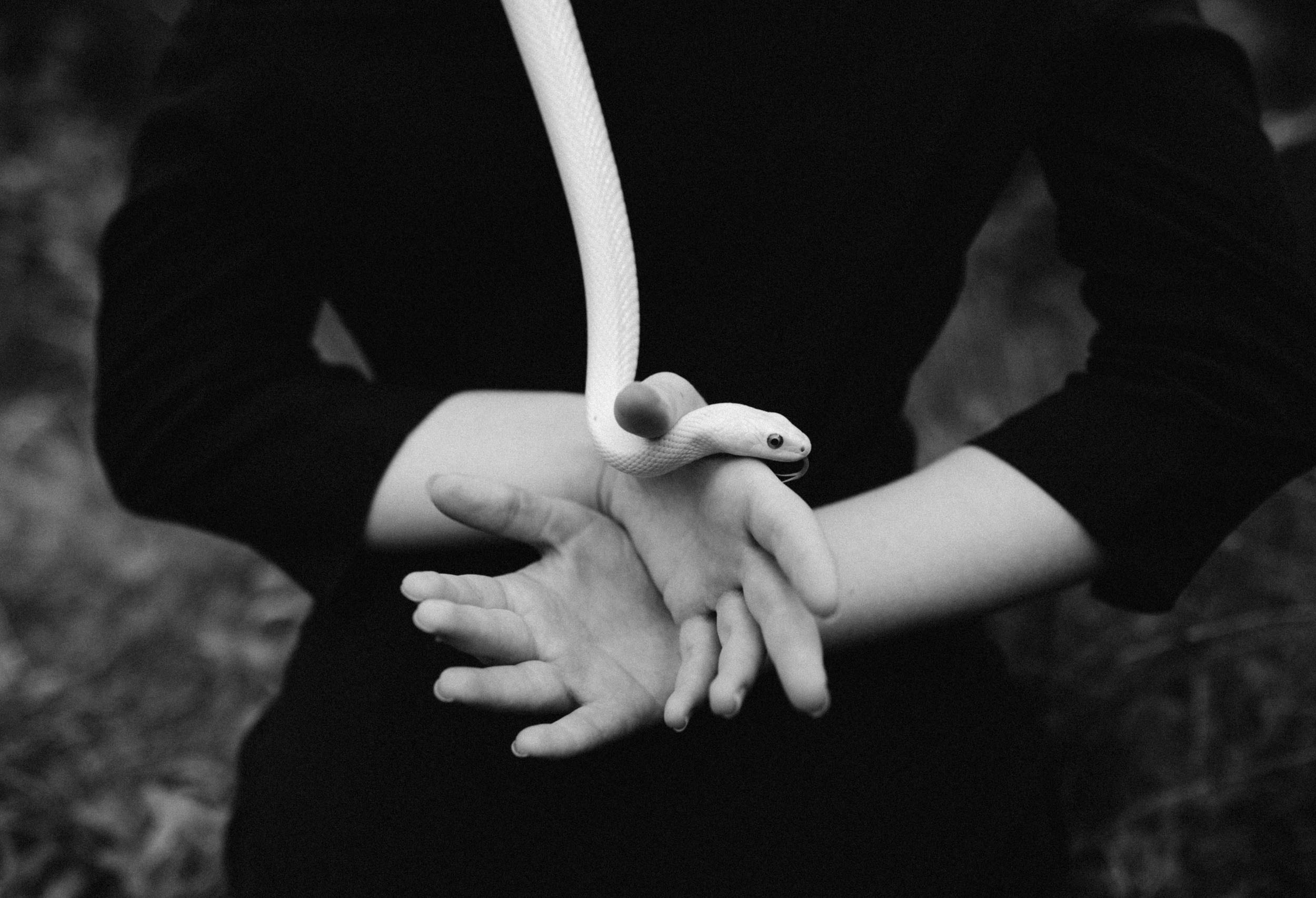 Белая змея в женских руках