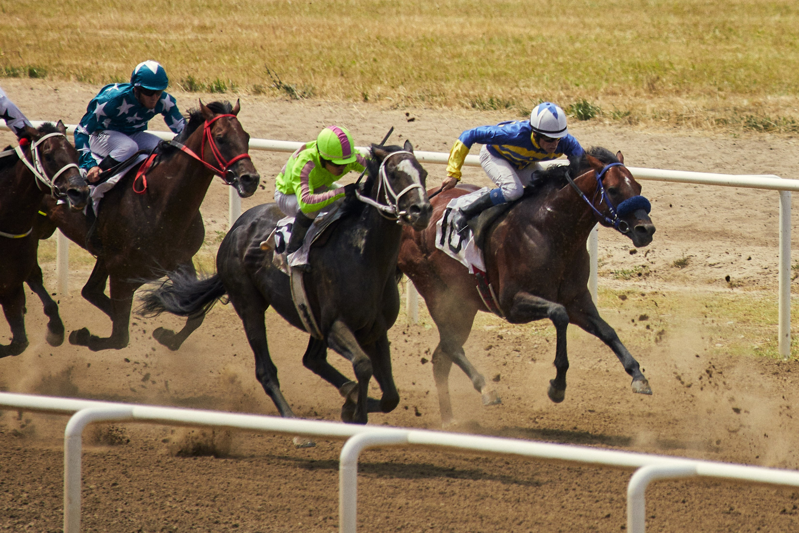 Скачки. Фотограф Юлия Маринина