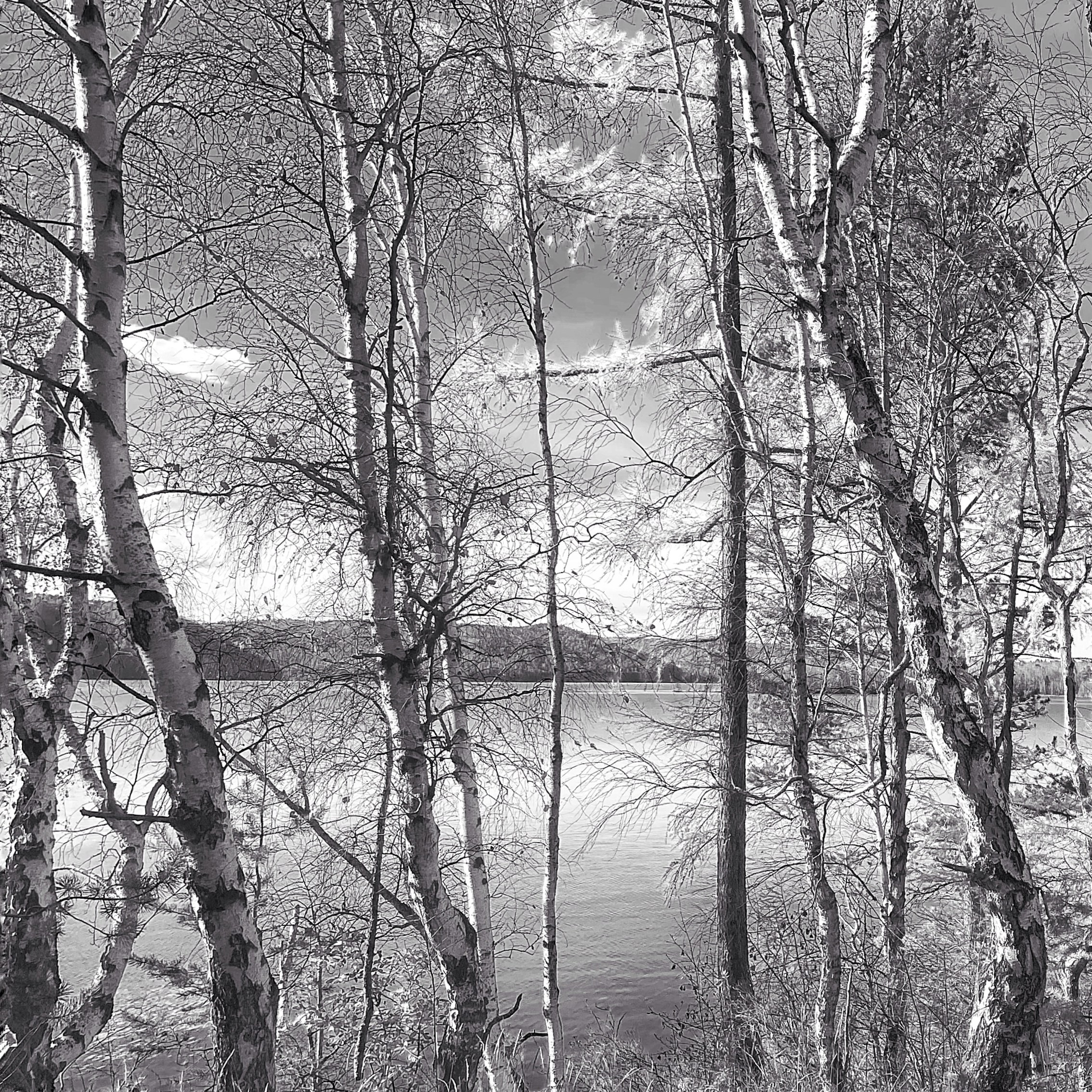 2025 год. Тащилин Сергей. Фотографии. Жизнь. Хобби