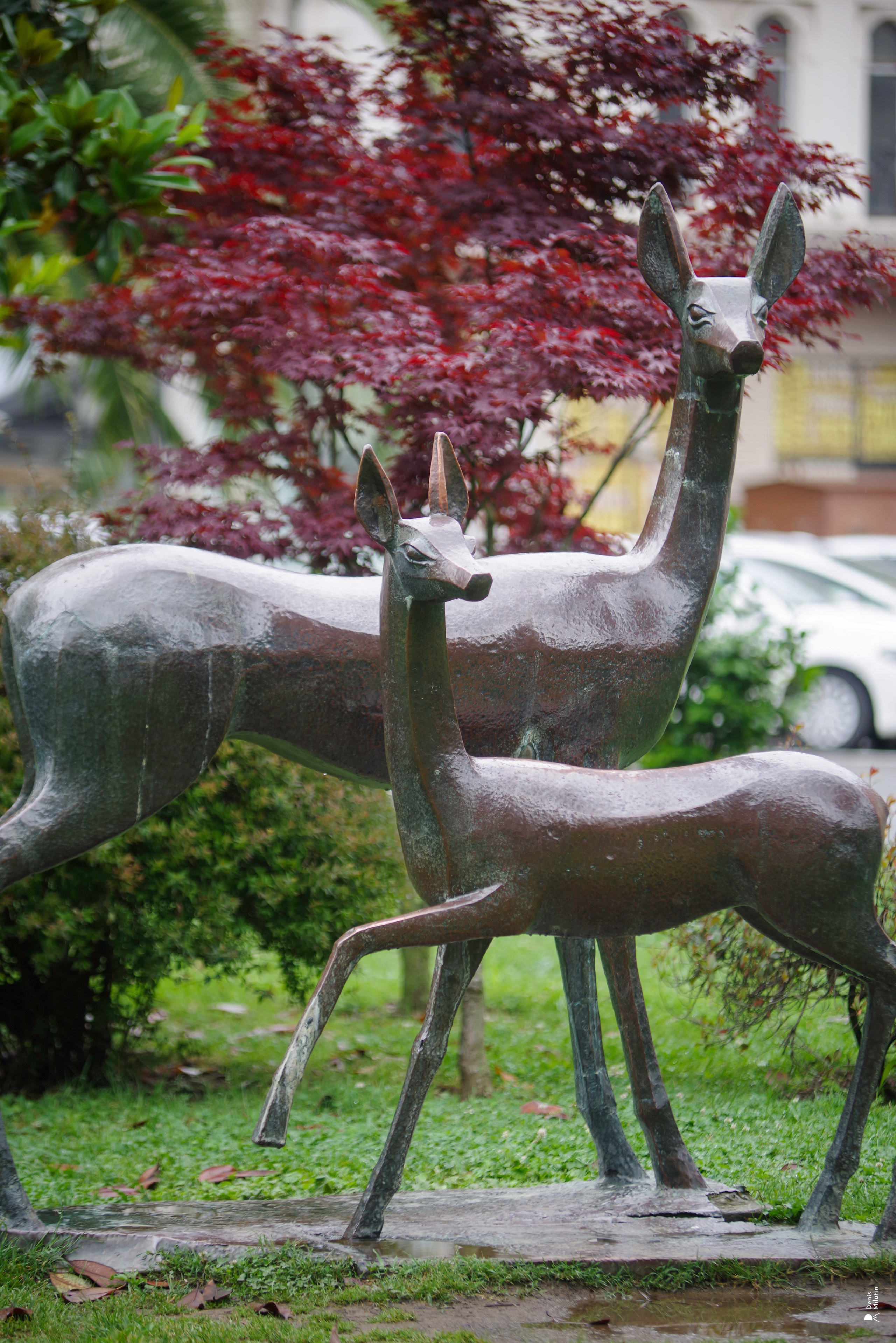 В отпуске с Артёмом. Портретный фотограф Денис Милютин