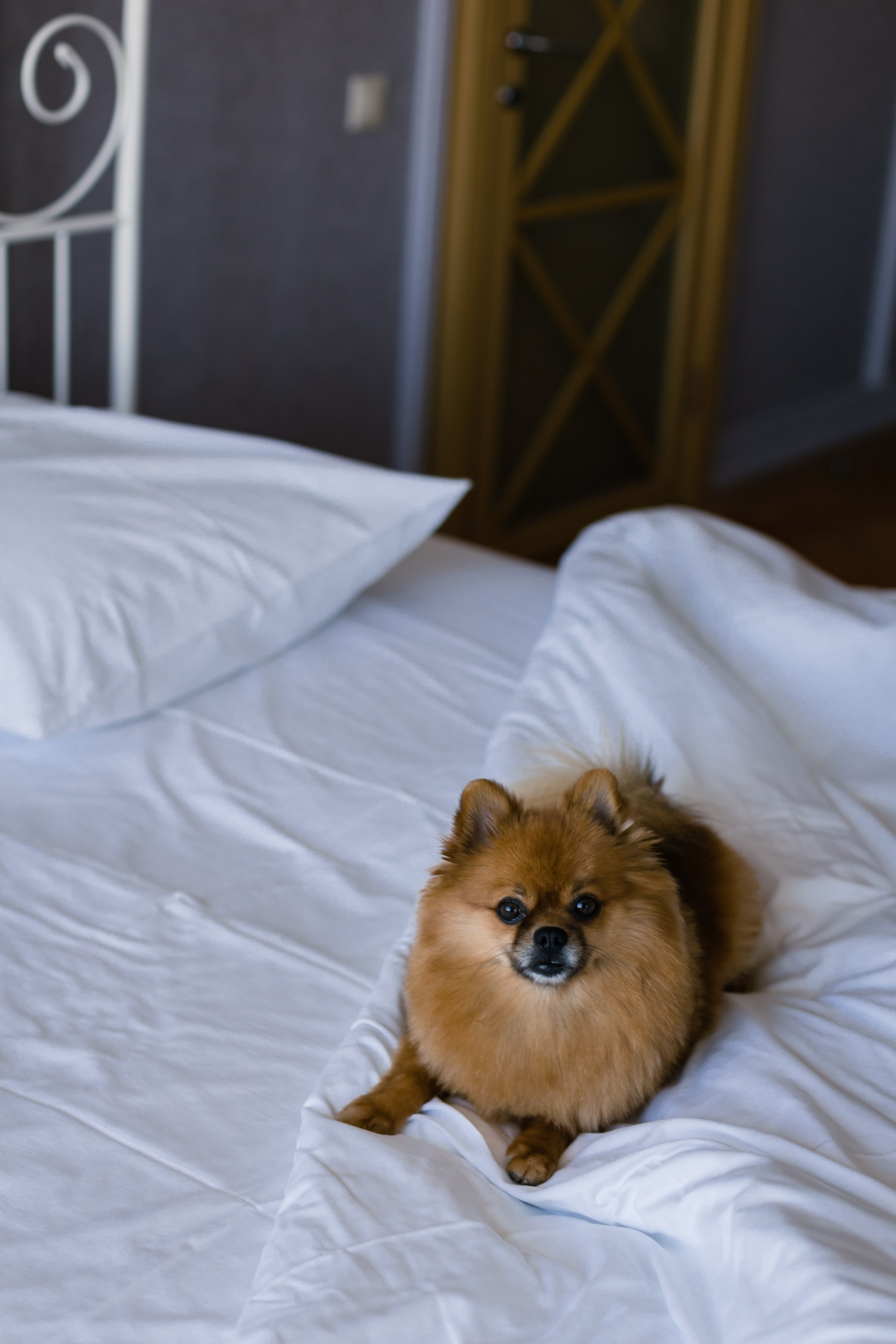 Artem&Anna Wedding day. Свадебный фотограф в Ижевске Диля Ахмадишина