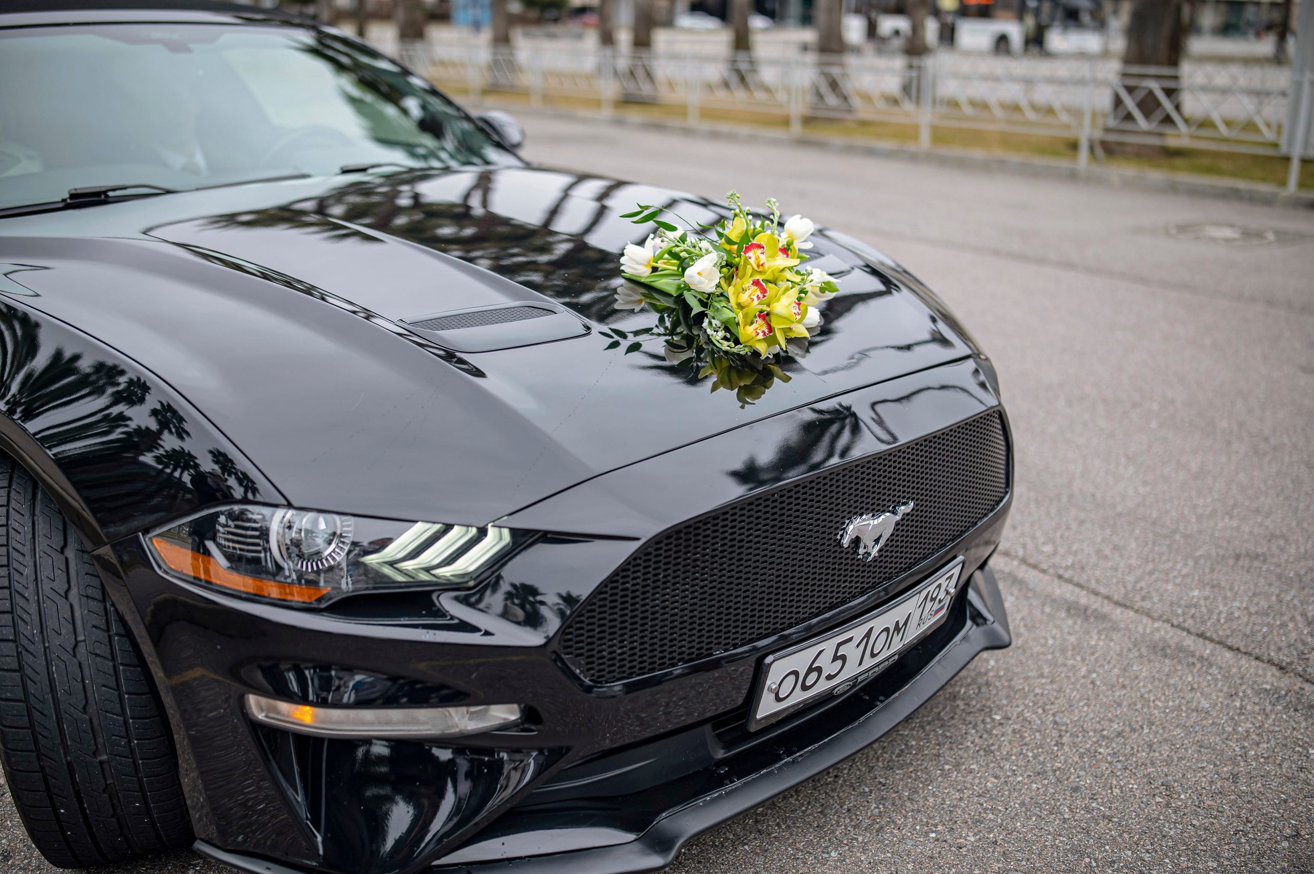 Свадьба в аллее пальм. Наталья Слесаренко фотограф в Сочи