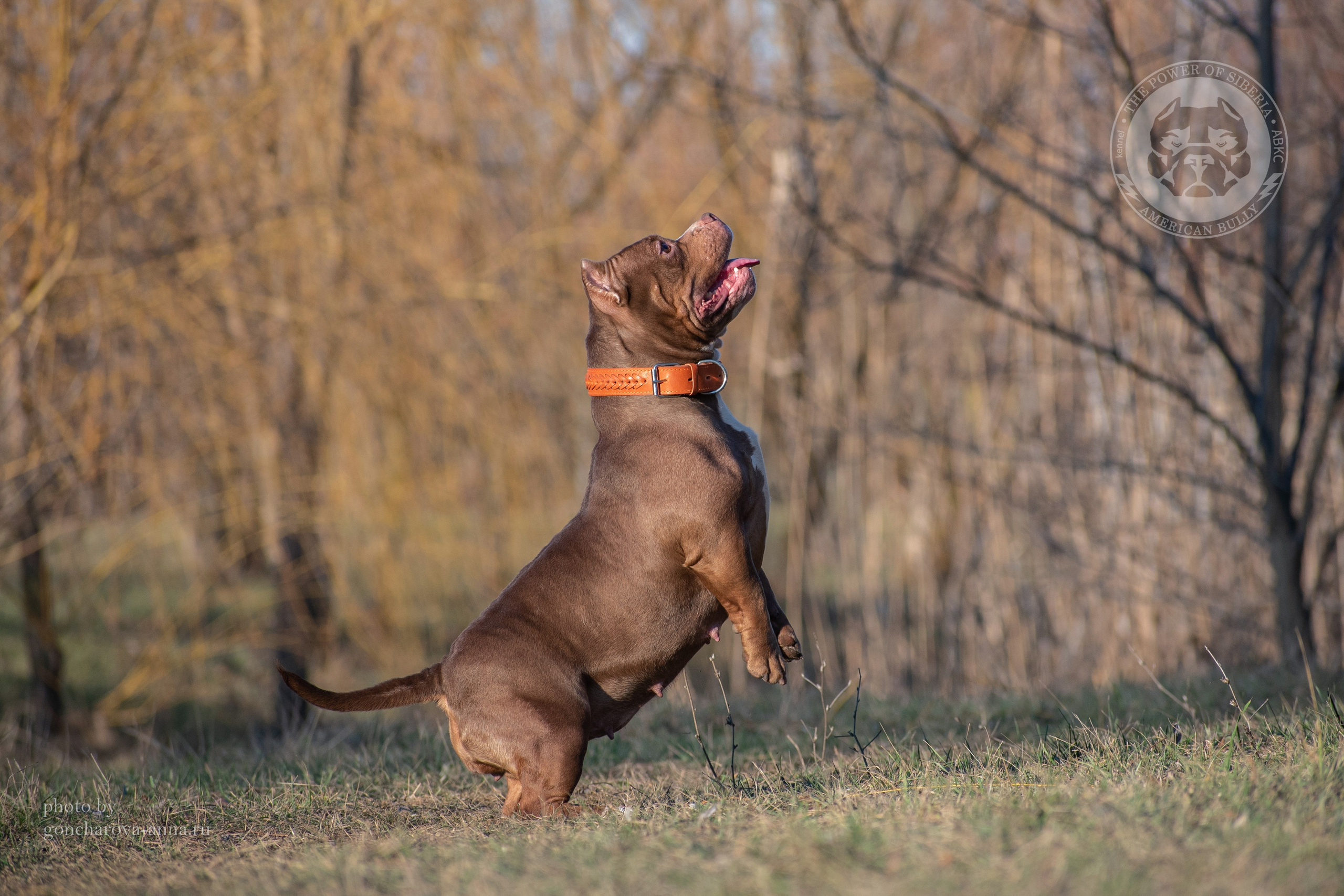Фотопрогулки. Фотограф анималист в Ростове I Гончарова Анна