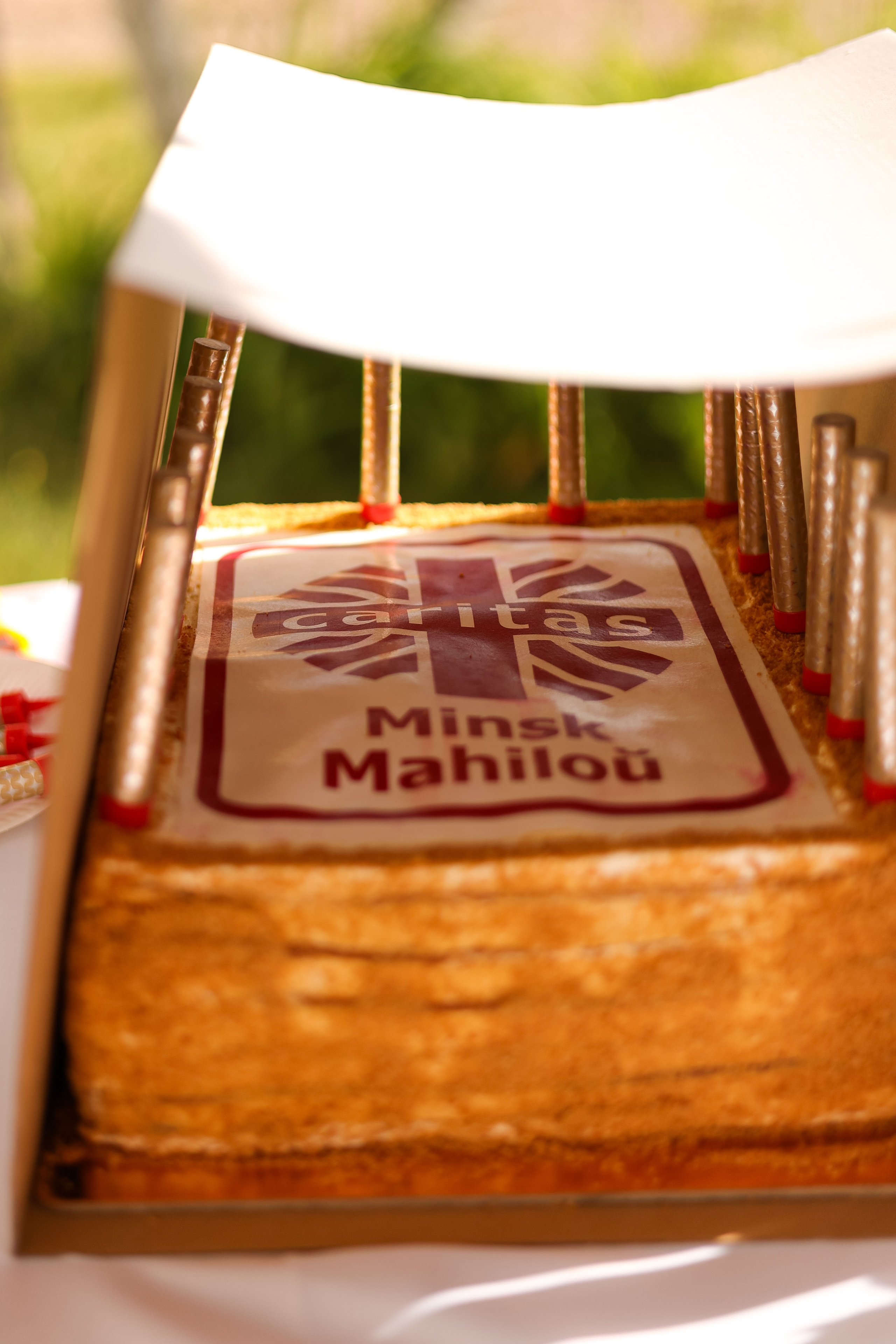 Благотворительный проект в Caritas. Свадебный фотограф Беларусь Ольга Козыренко