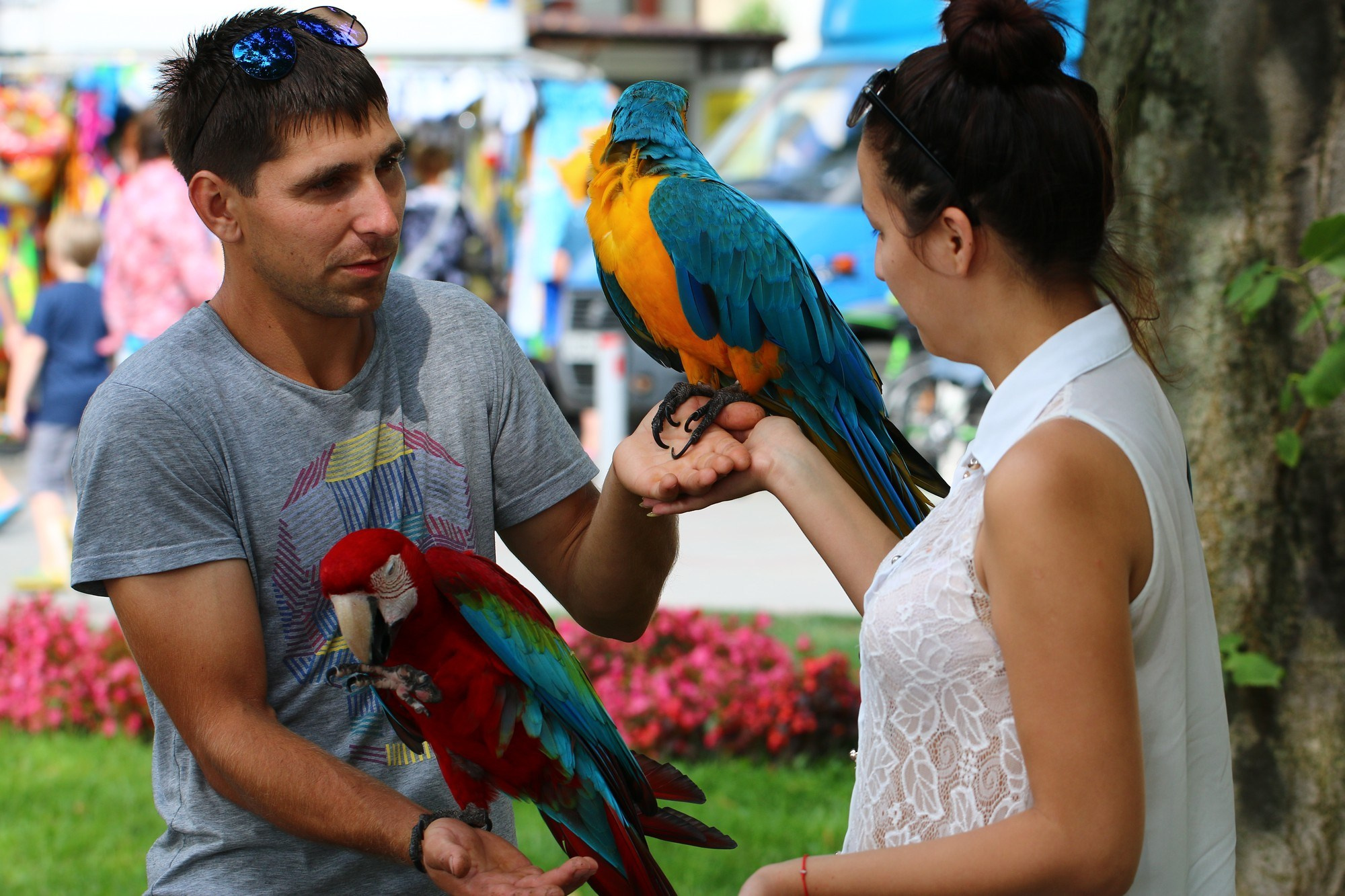 Геленджик 2016 г. Улица, люди, жизнь…