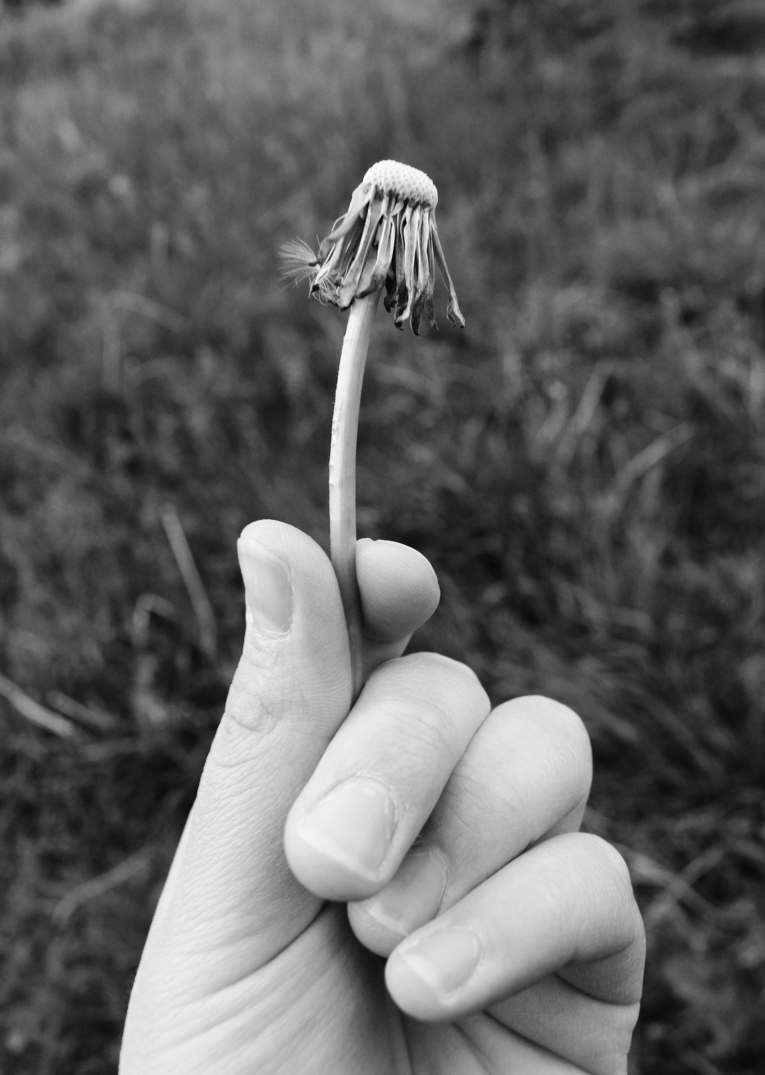 Мои первые работы. Фотограф из Москвы — DASHA NOVA | Авторская фотография в разных жанрах