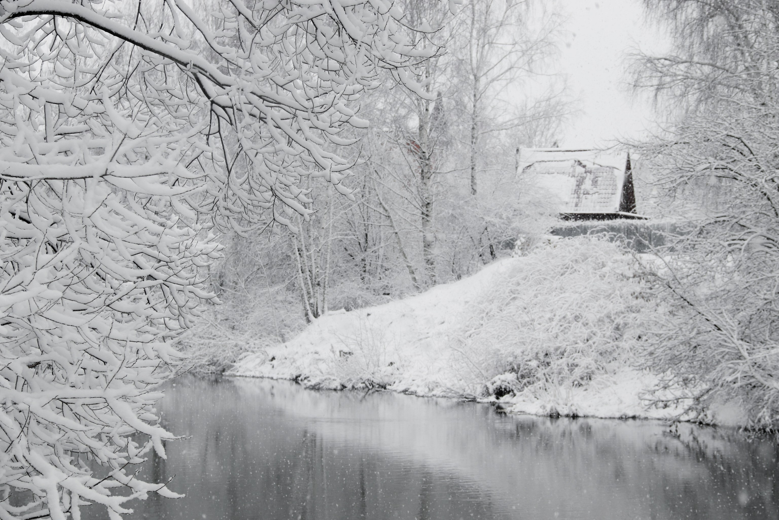 Монохромность марта. С любовью, фотохудожник