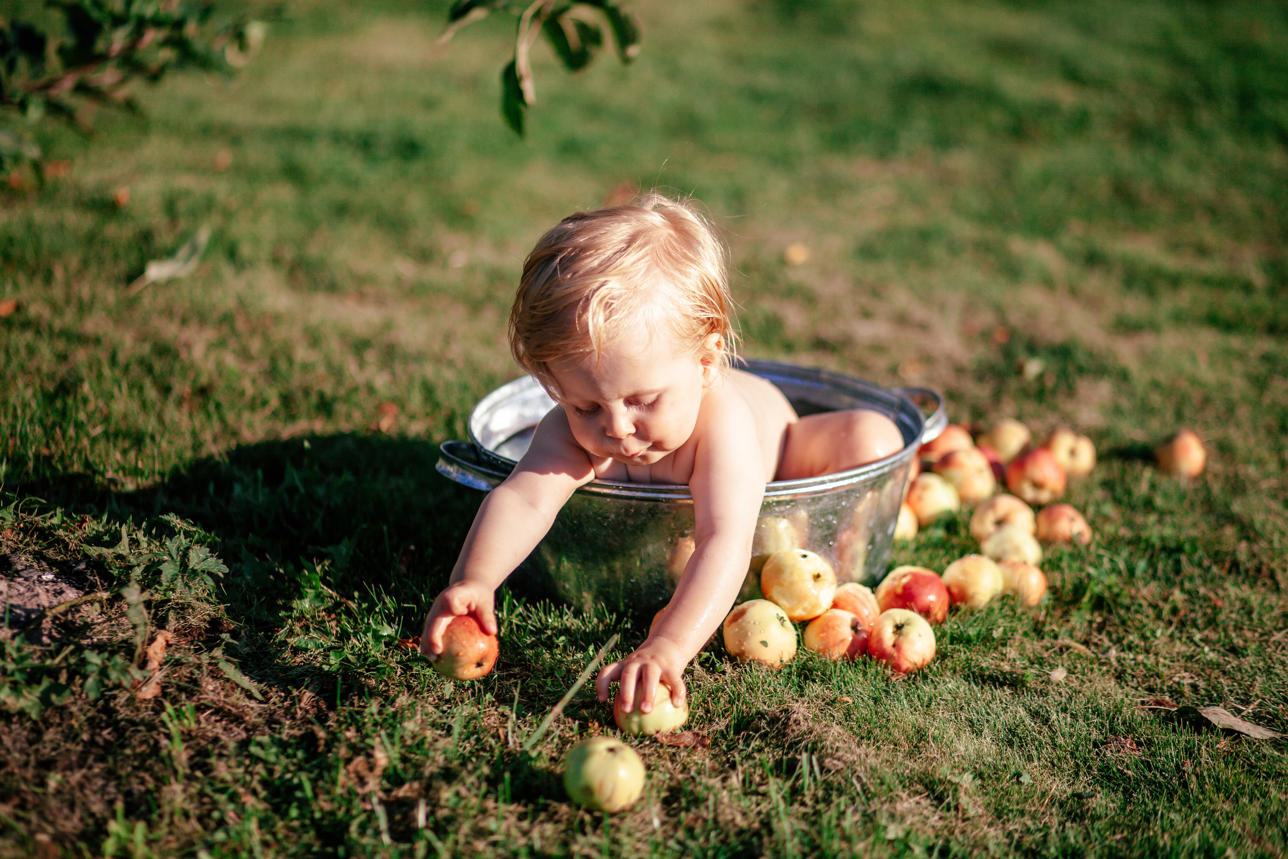 Деревенские зарисовски с Мишей ч.1. Детский и семейный фотограф Афанасьева Ольга. Санкт-Петербург