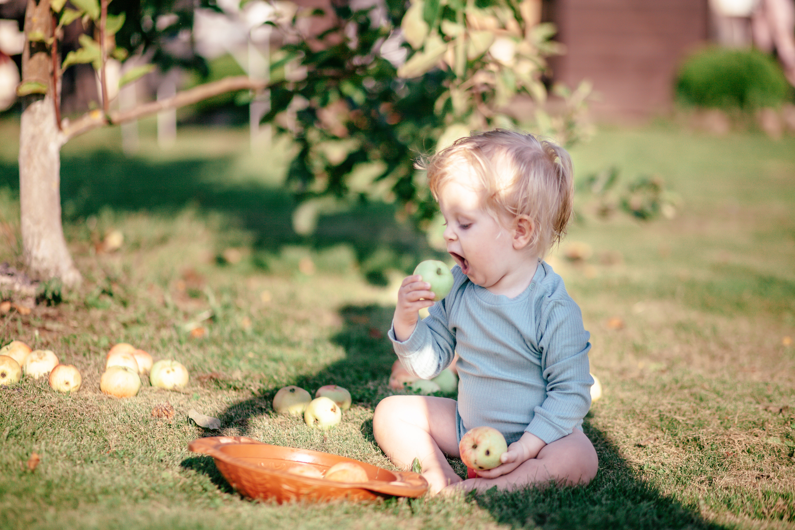 Деревенские зарисовски с Мишей ч.1. Детский и семейный фотограф Афанасьева Ольга. Санкт-Петербург