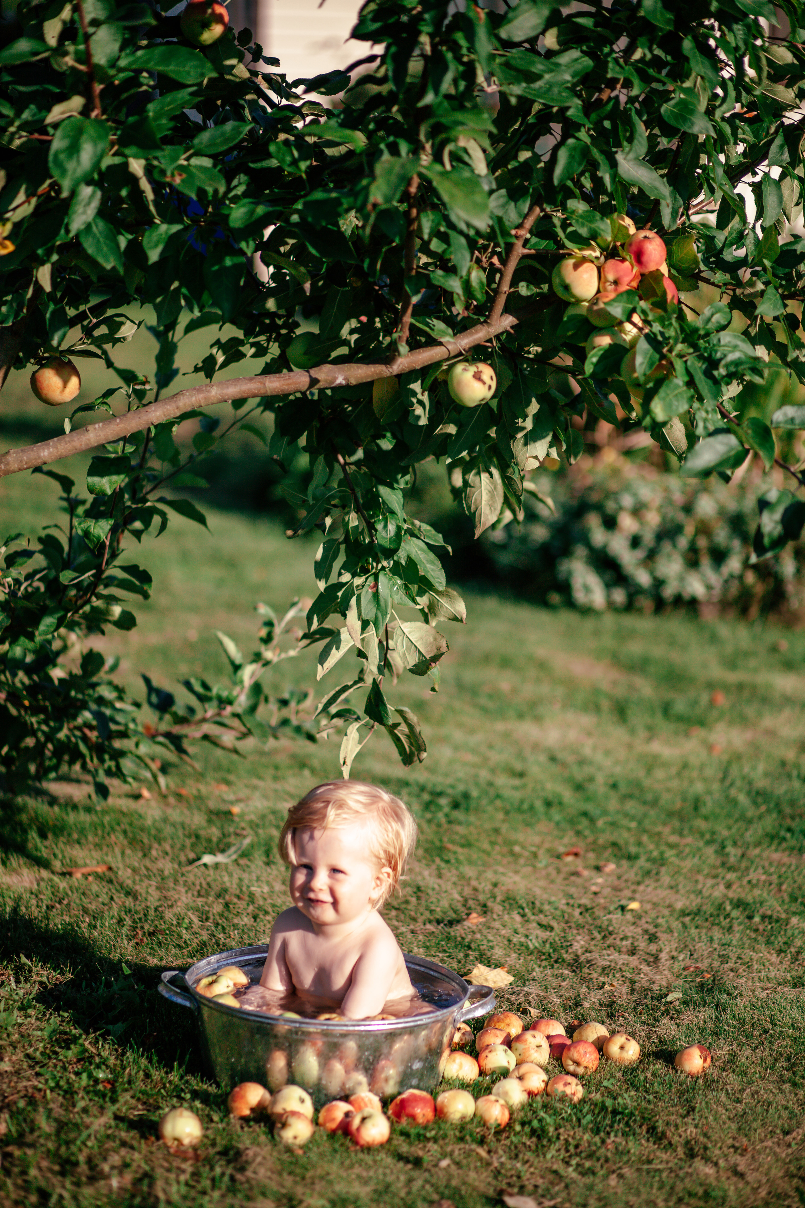 Деревенские зарисовски с Мишей ч.1. Детский и семейный фотограф Афанасьева Ольга. Санкт-Петербург